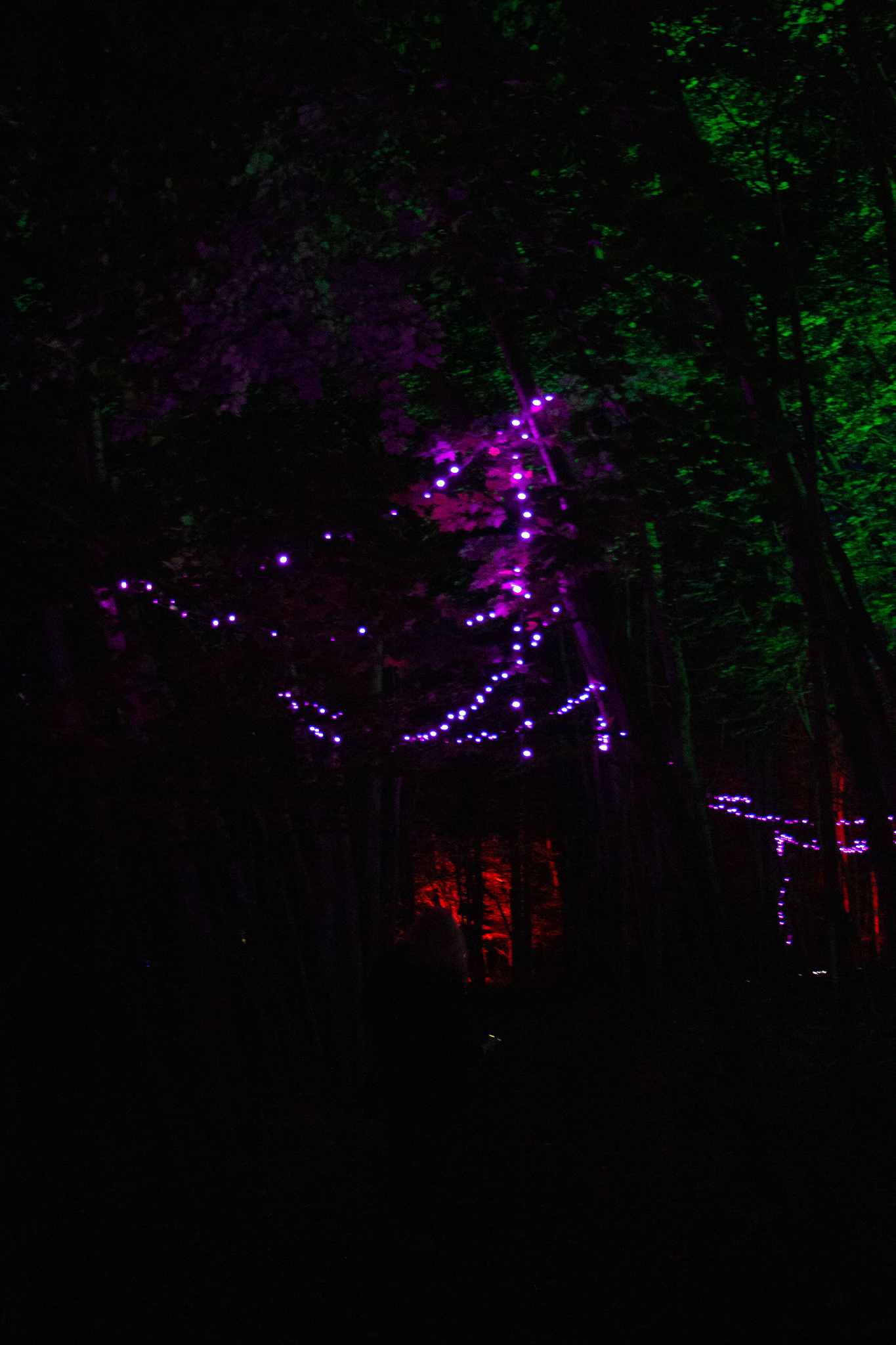 Night Lights at Griffis Sculpture Park, East Otto NY.