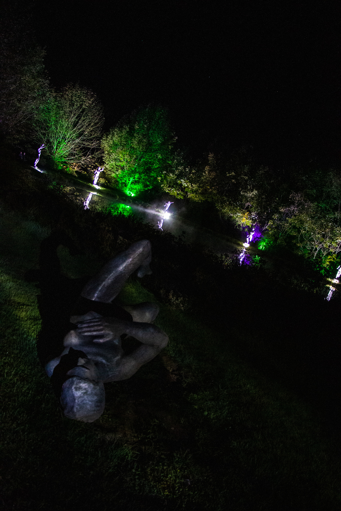 Night Lights at Griffis Sculpture Park, East Otto NY.