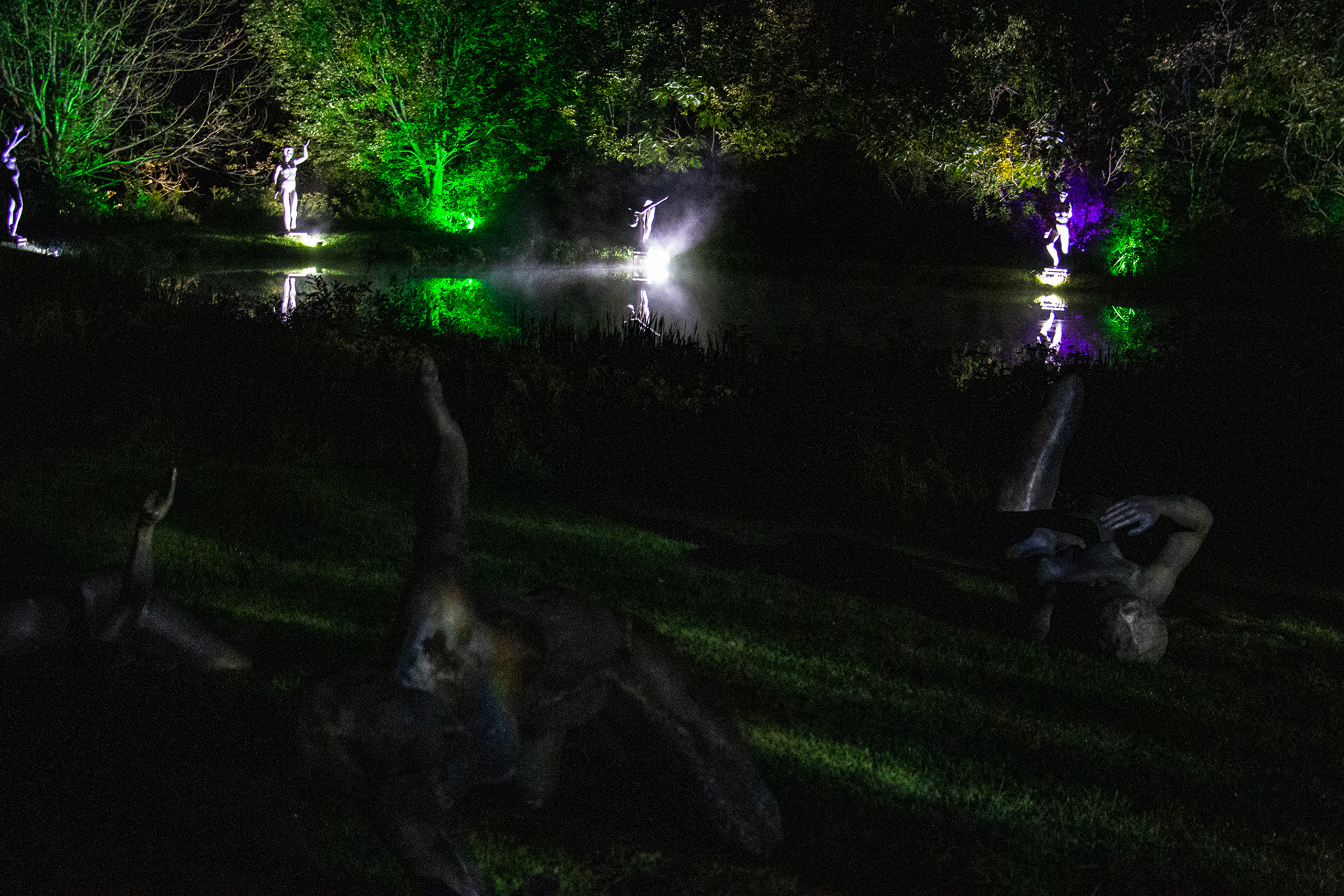 Night Lights at Griffis Sculpture Park, East Otto NY.
