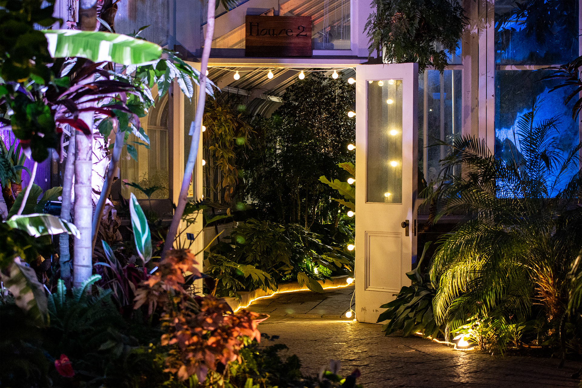 Botanical Gardens Night Lights, Buffalo NY.