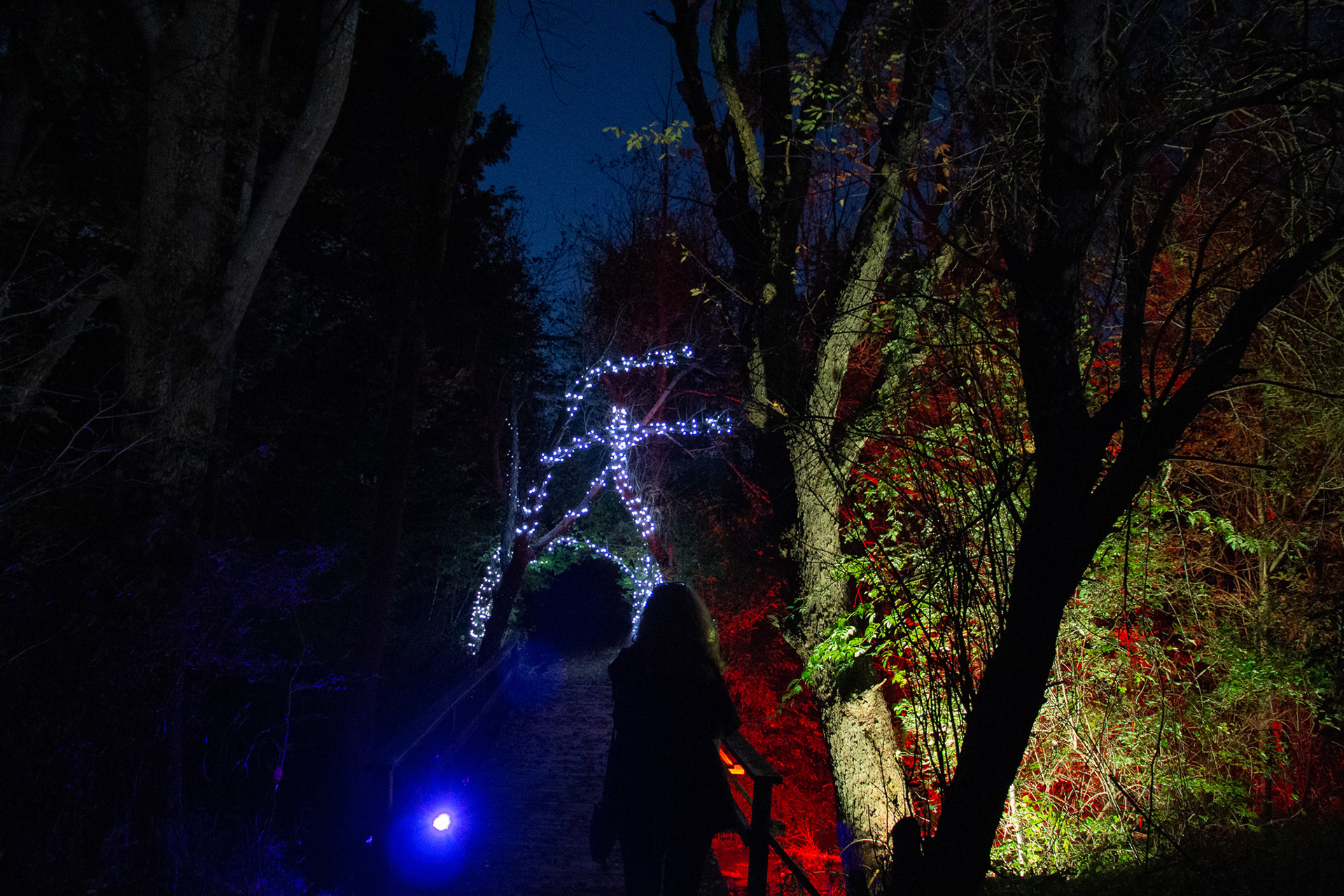 Night Lights at Griffis Sculpture Park, East Otto NY.