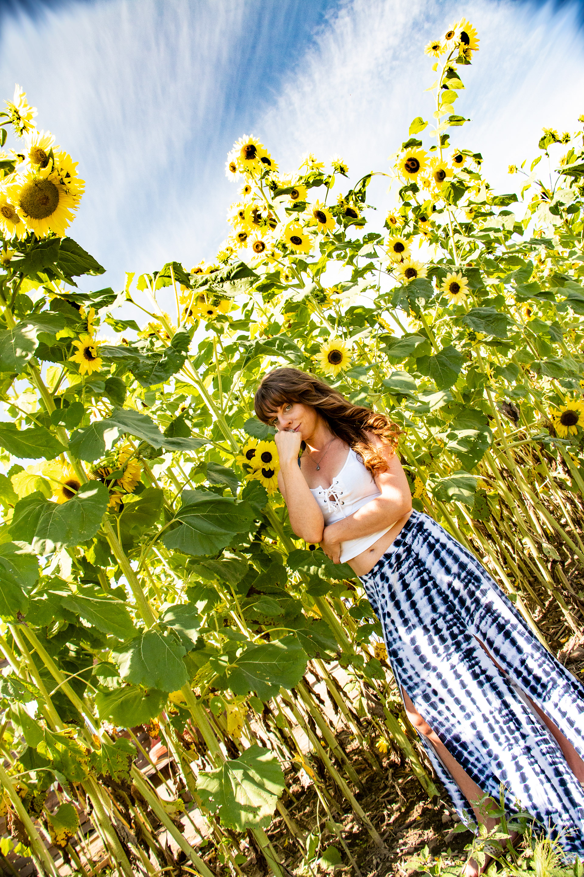 Modeling session, Wickham Sunflower Farm, Penfield NY.