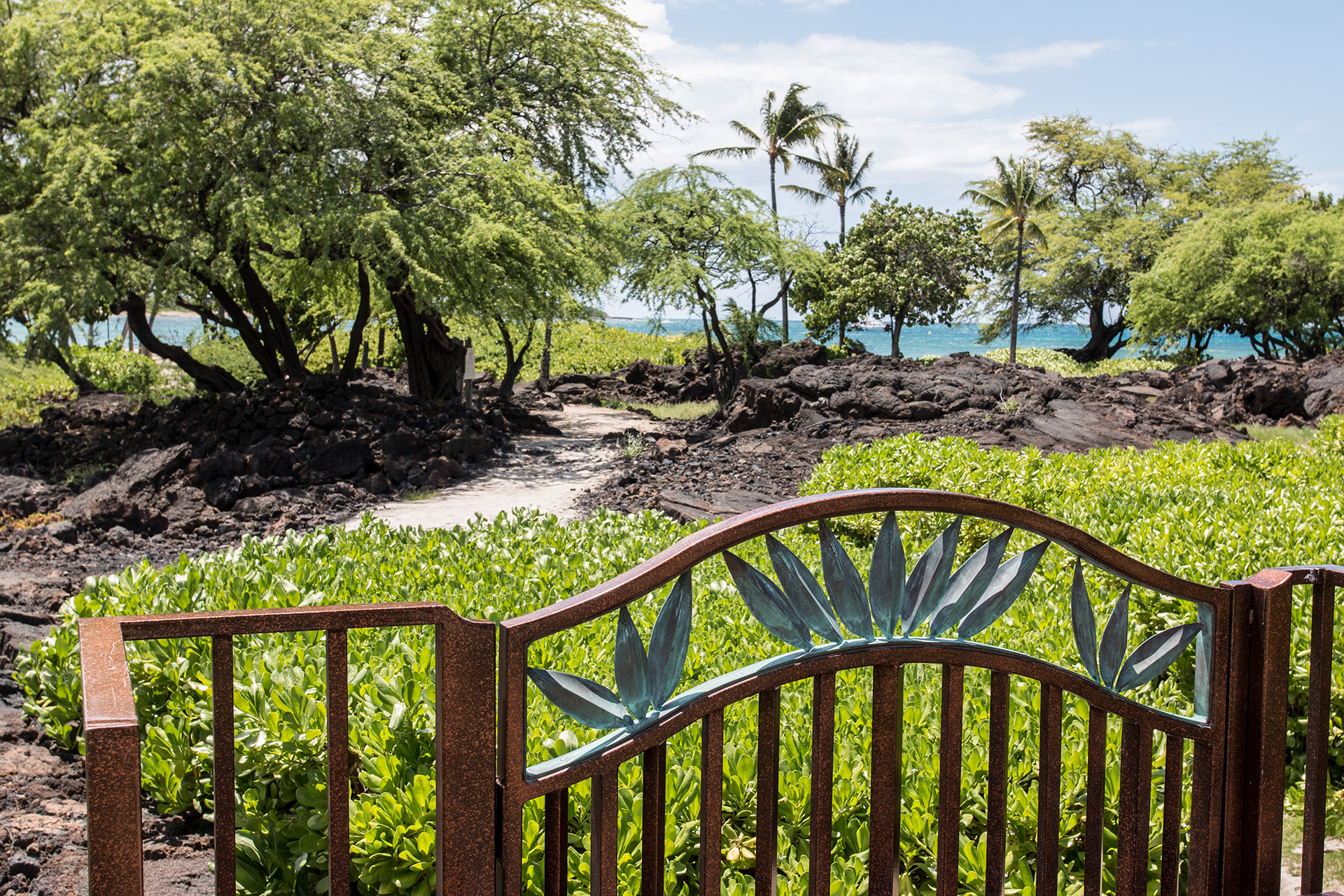 Luxury real estate, timeshare, rental, for sale in Waikoloa HI.