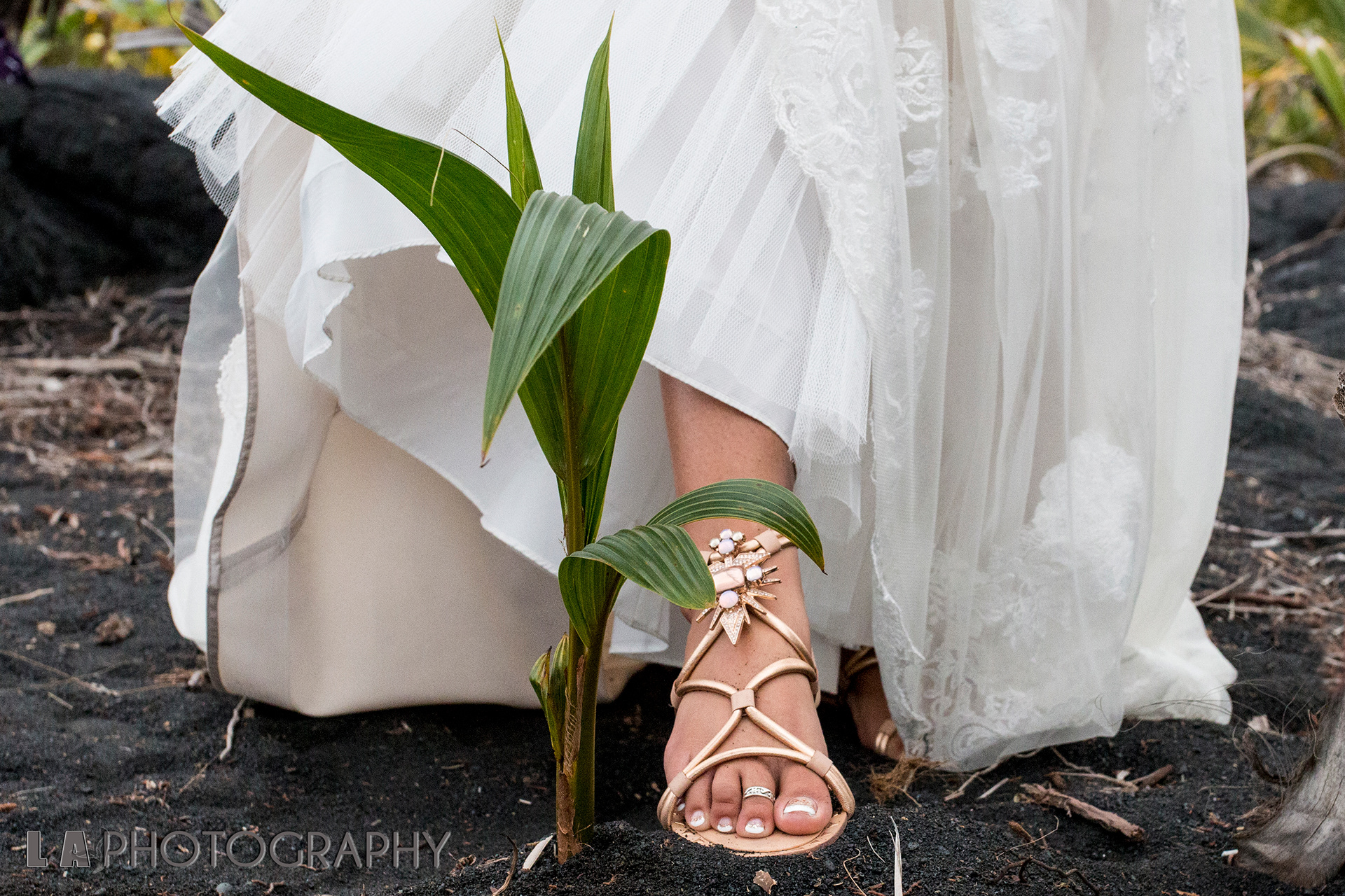 Wedding ceremony, Hawaii, black sand beach.