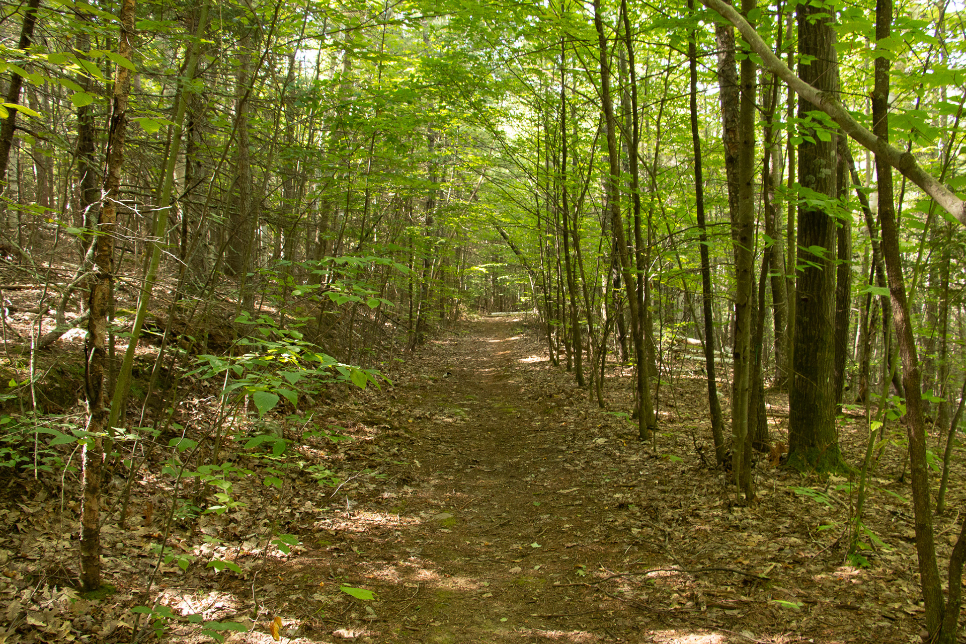 Adirondack Mountains NY.
