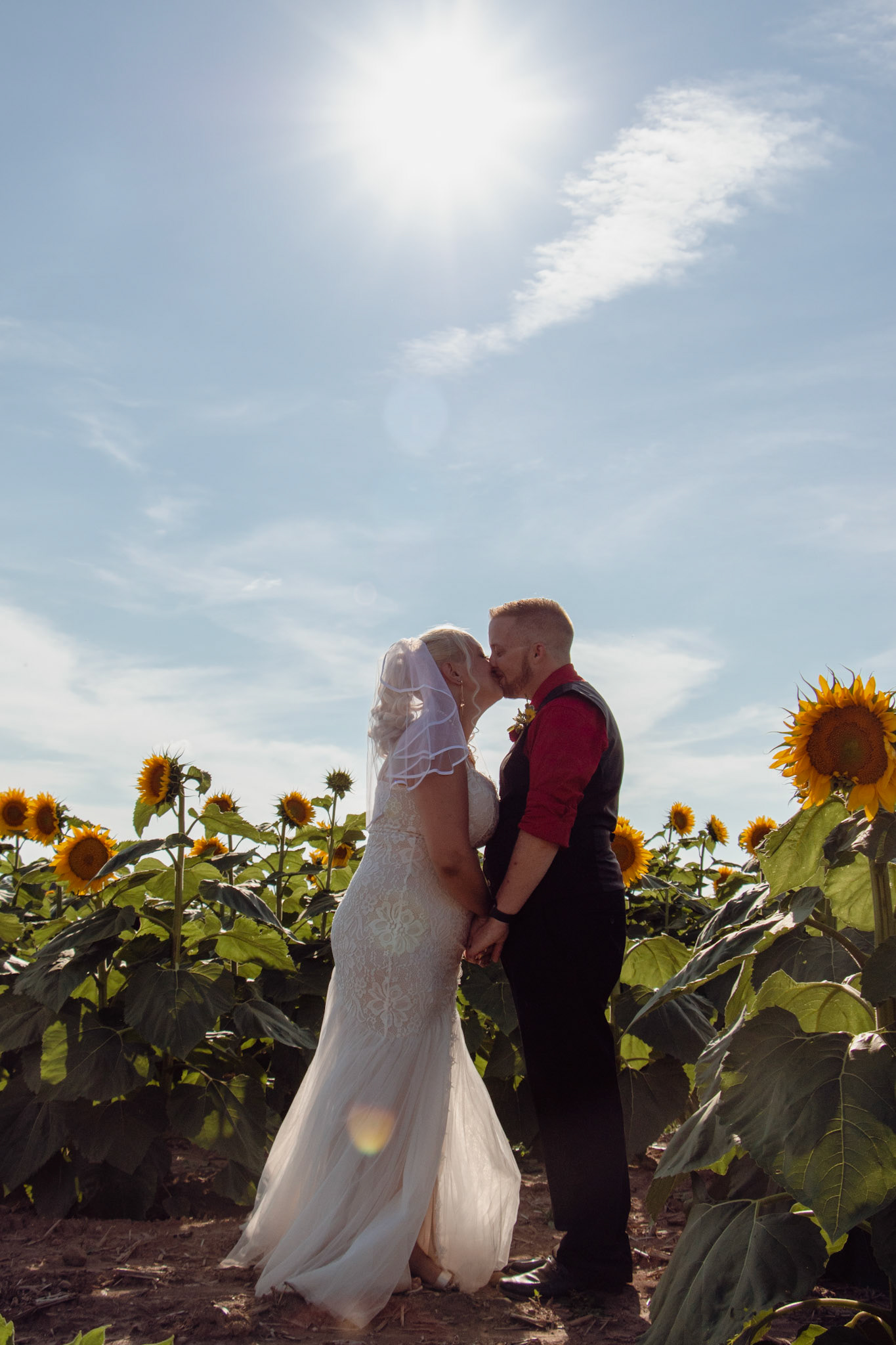 Wedding, Sunflowers of Sanborn, NY, couple.