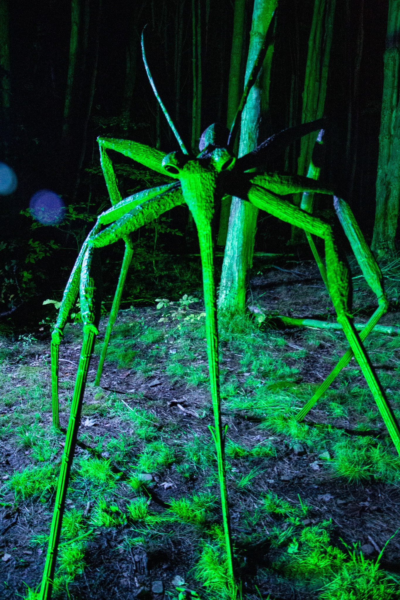 Sculpture, Night Lights at Griffis Sculpture Park, East Otto NY.