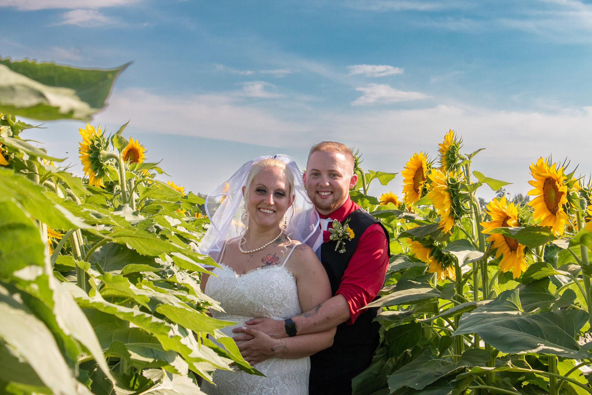 Wedding, Sunflowers of Sanborn, NY, couple.