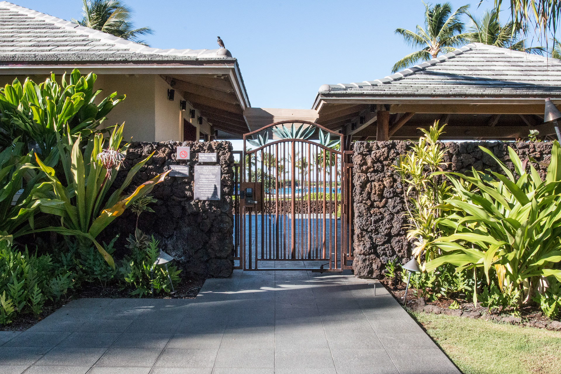 Luxury real estate, timeshare, rental, for sale in Waikoloa HI.