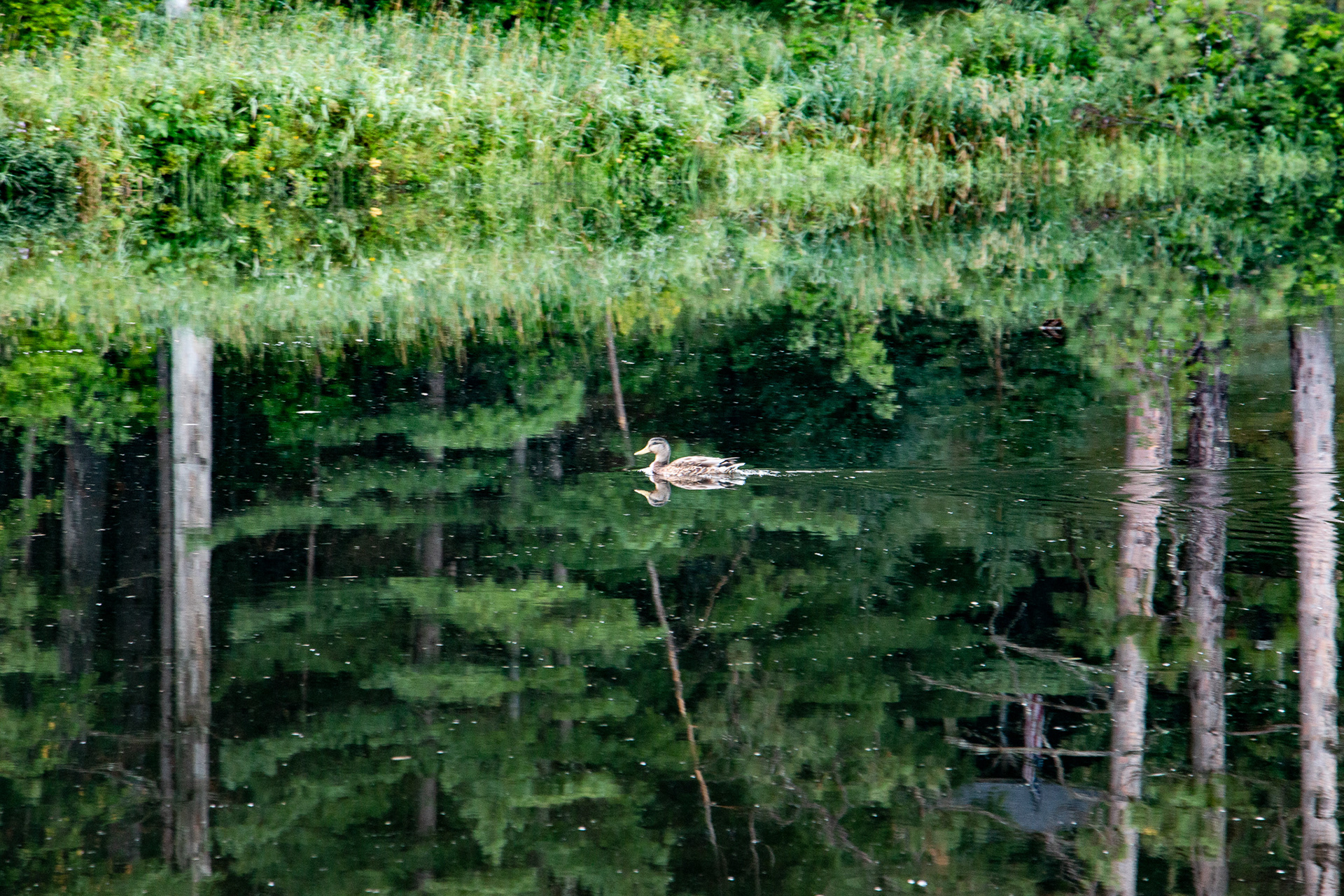 Adirondack Mountains NY.