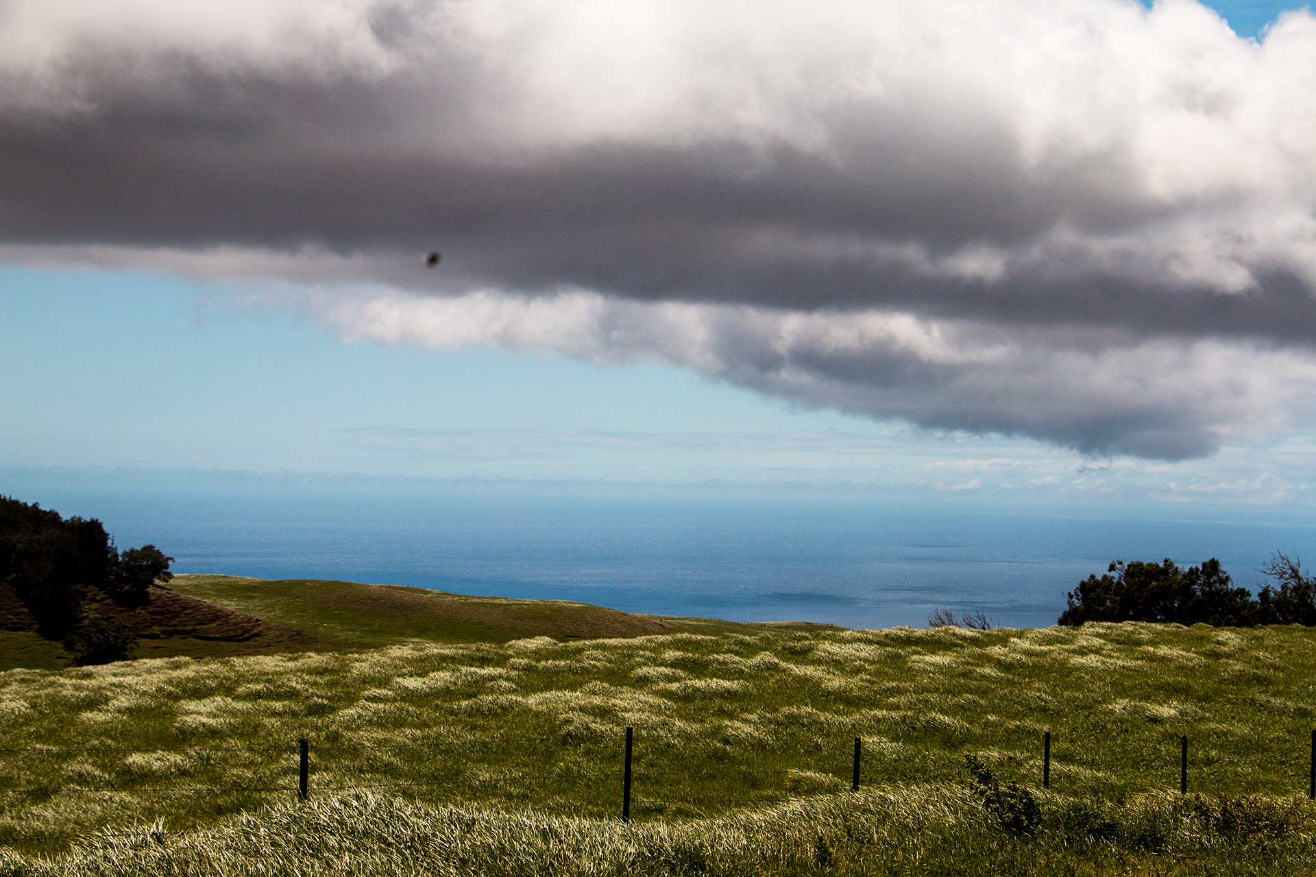 Big Island coast, HI.