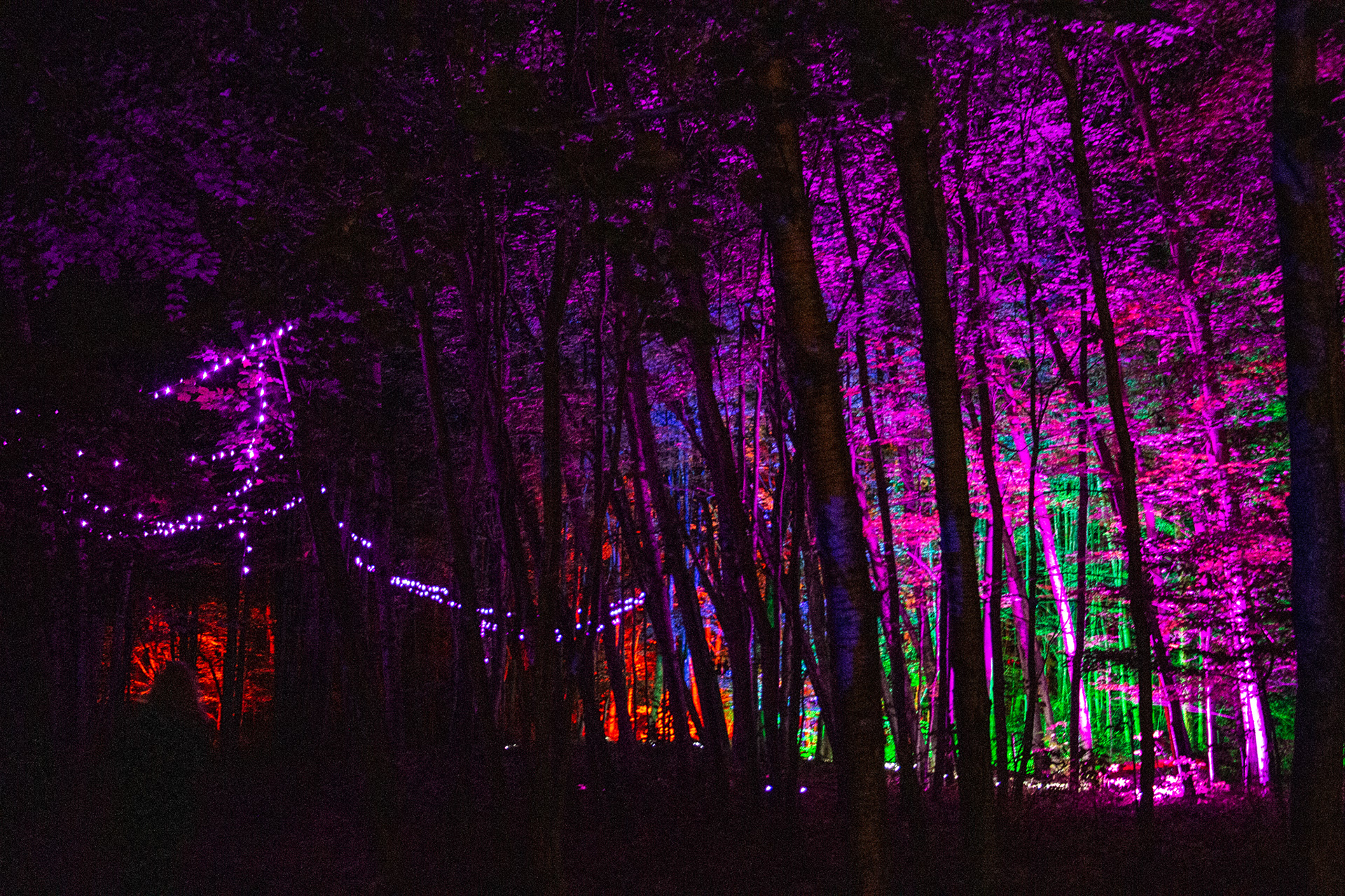 Night Lights at Griffis Sculpture Park, East Otto NY.