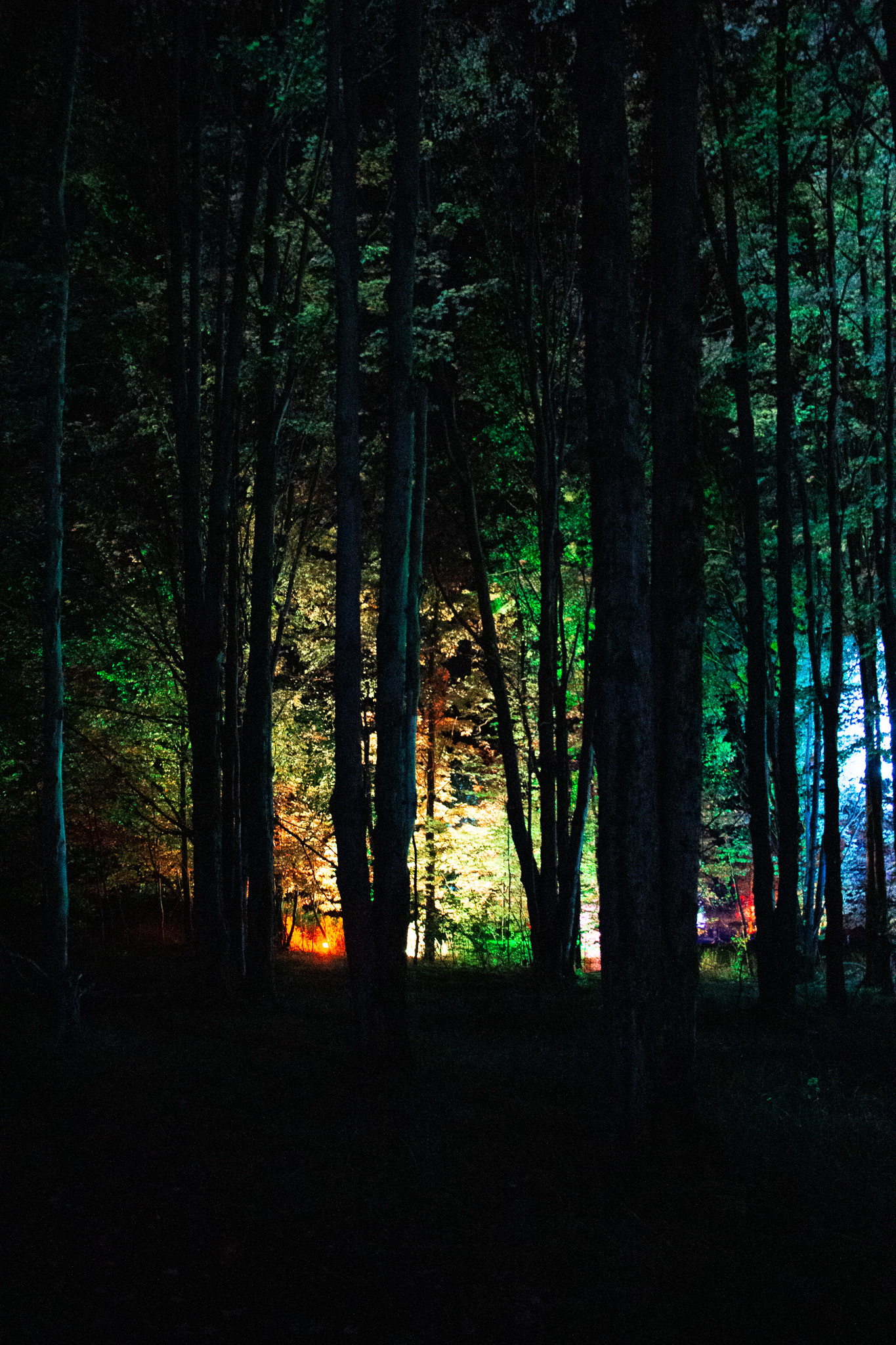 Night Lights at Griffis Sculpture Park, East Otto NY.