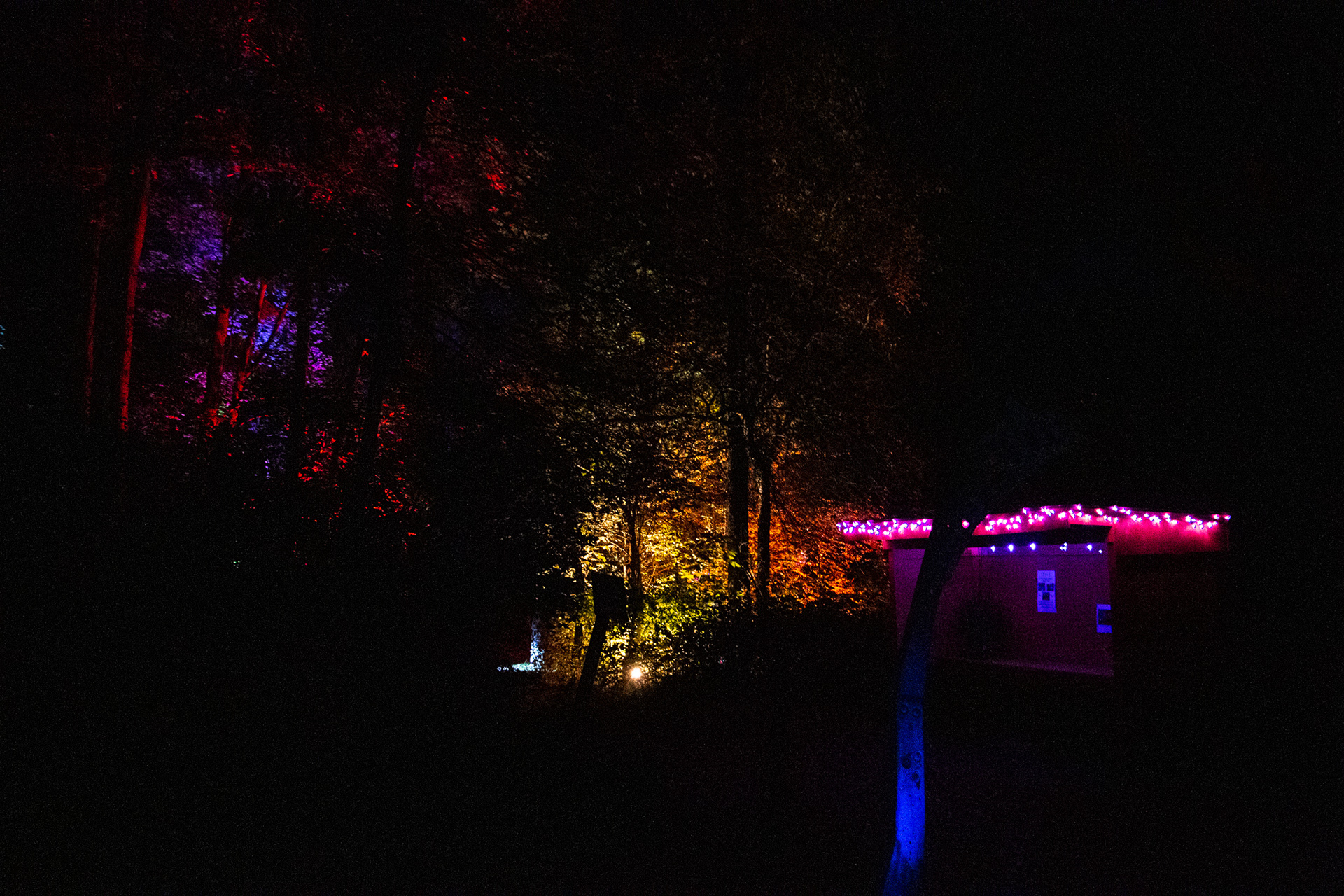 Night Lights at Griffis Sculpture Park, East Otto NY.