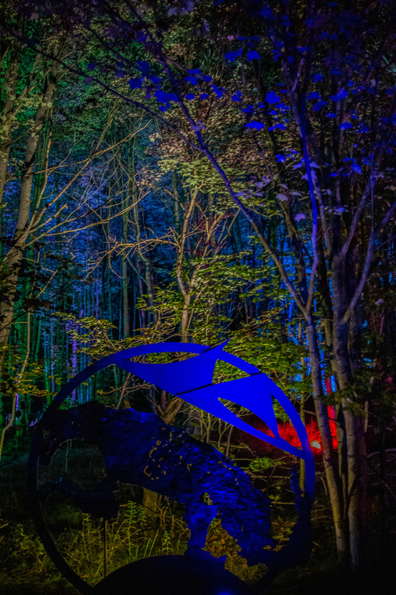 Night Lights at Griffis Sculpture Park, East Otto NY.