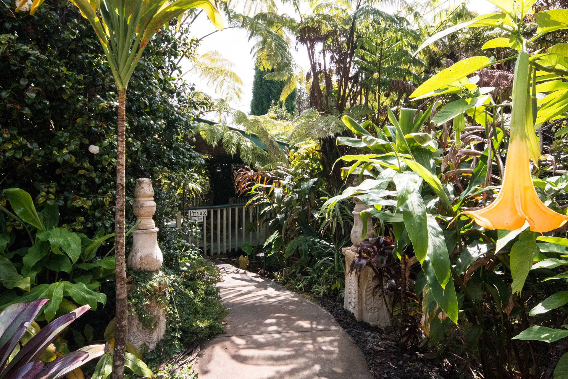 Gardens and grounds at Chalet Kilauea, Volcano HI.