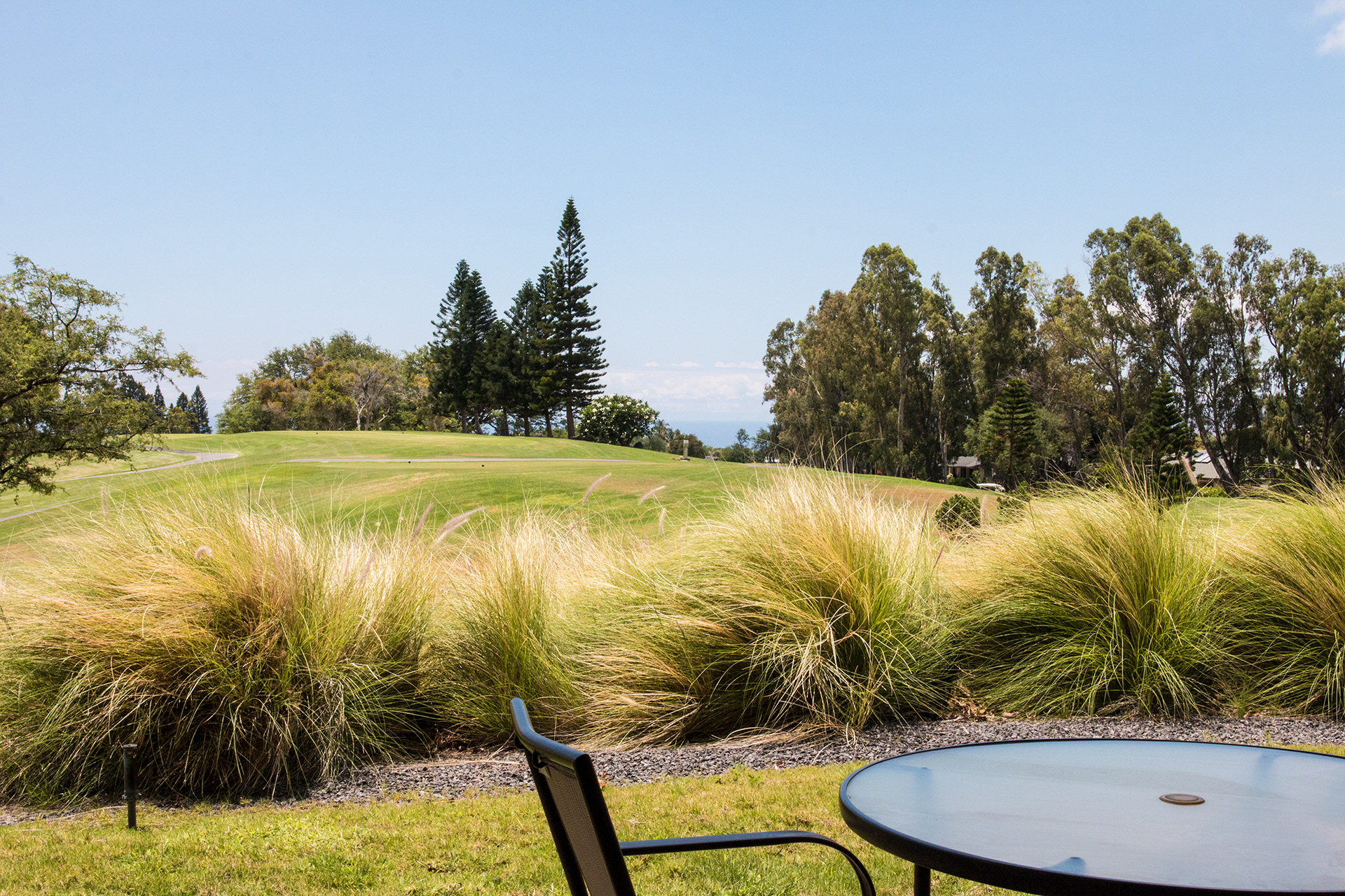 Condo for sale, real estate in Waikoloa Village, HI.