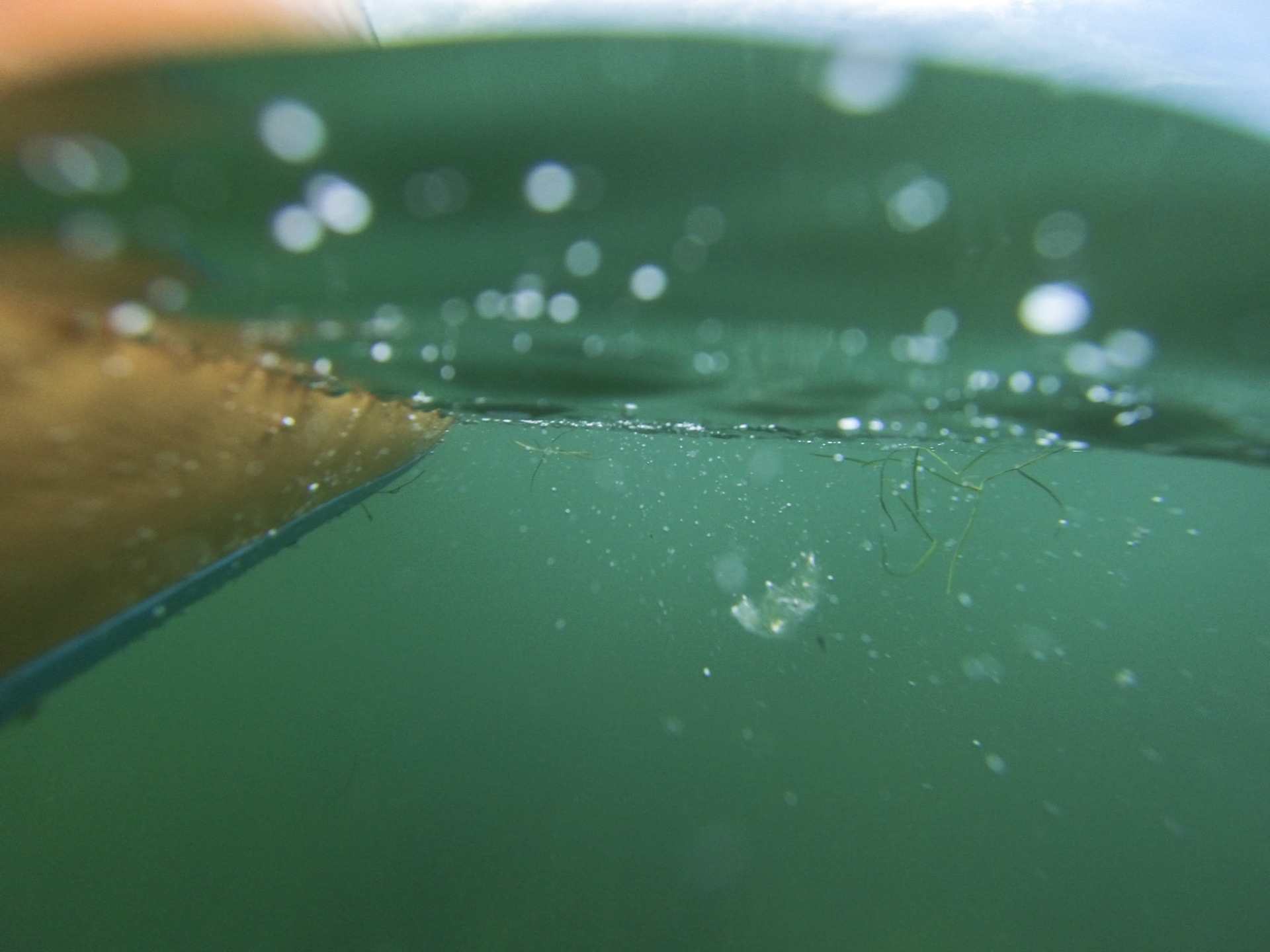 GoPro SUP photos off Gallagher Beach, Buffalo NY.