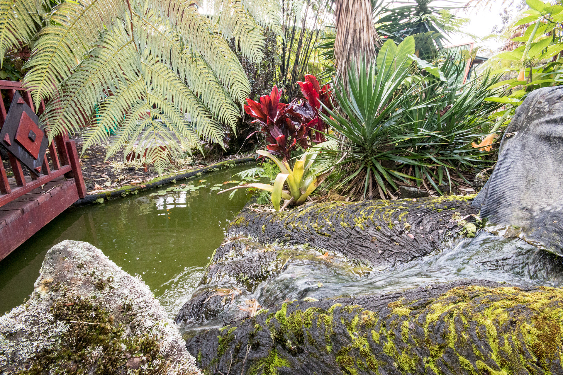 Gardens and grounds at Chalet Kilauea, Volcano HI.