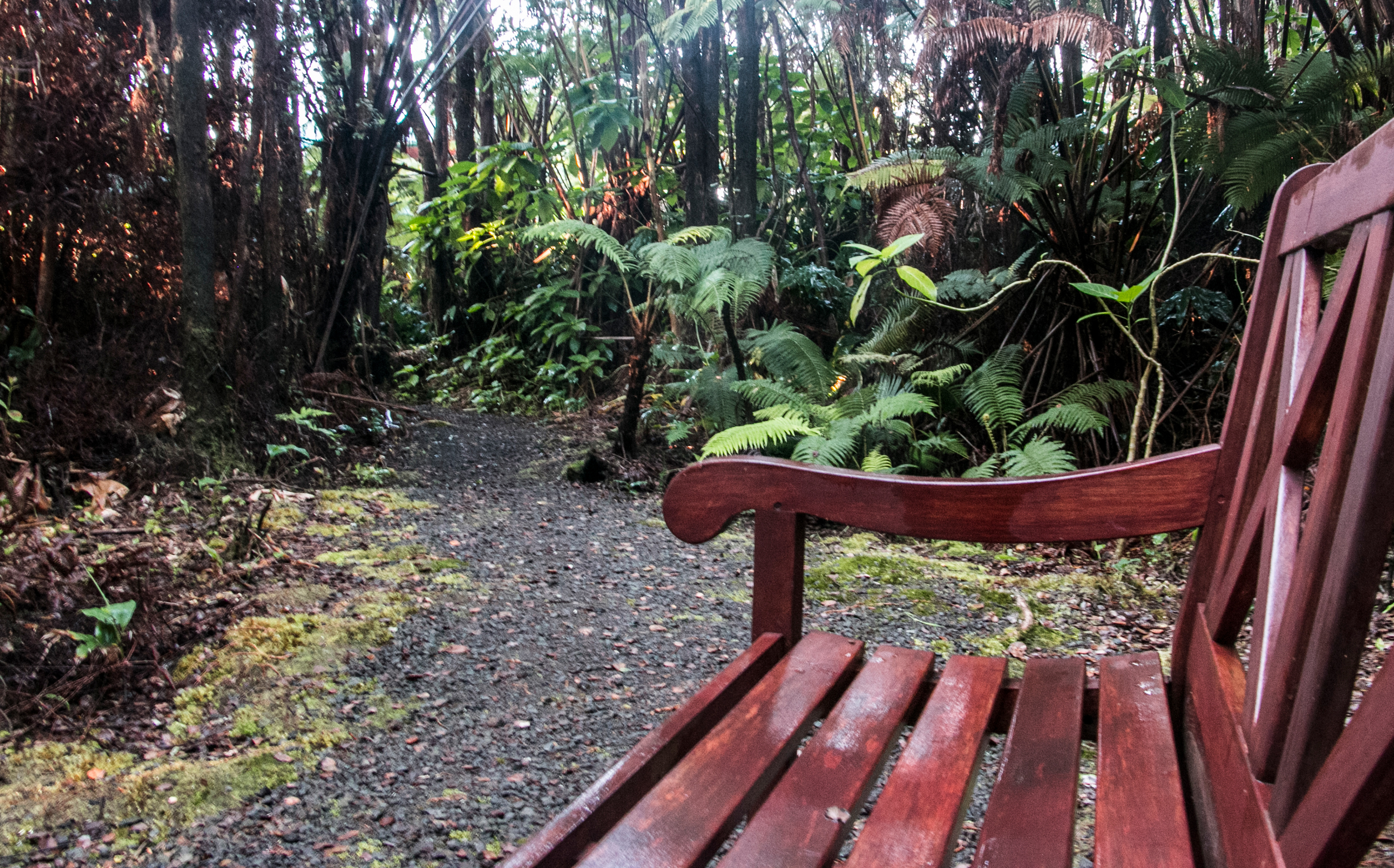 Gardens and grounds at Chalet Kilauea, Volcano HI.