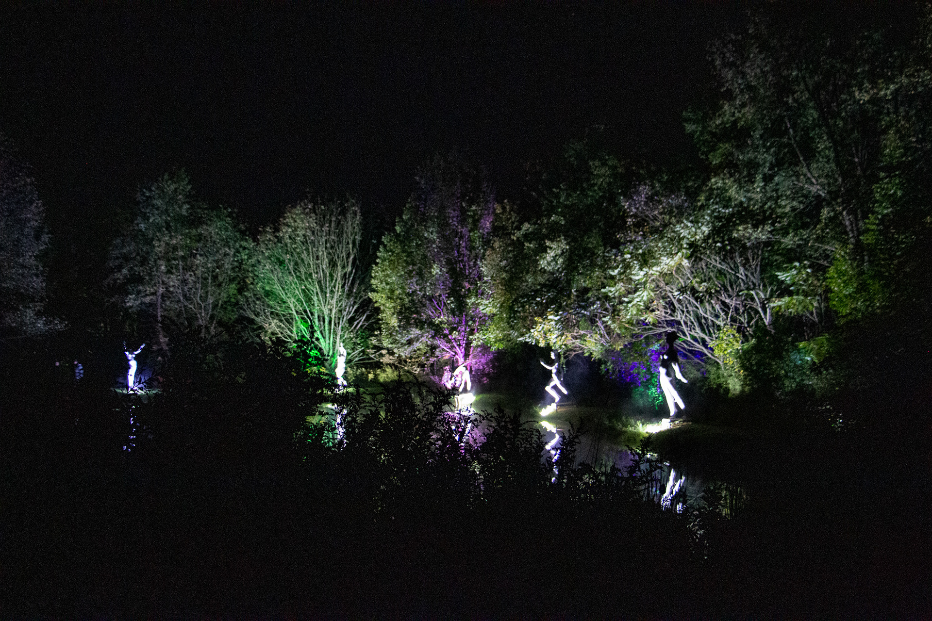Night Lights at Griffis Sculpture Park, East Otto NY.