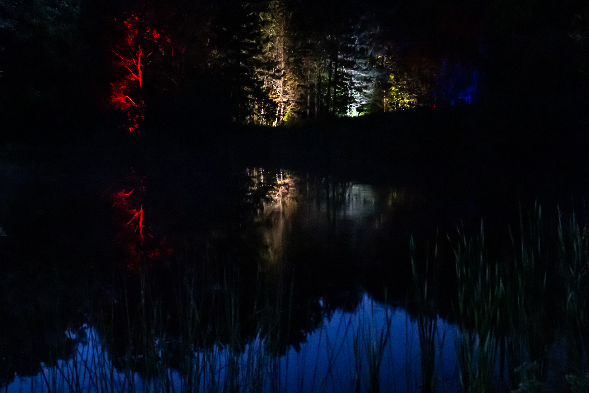 Night Lights at Griffis Sculpture Park, East Otto NY.