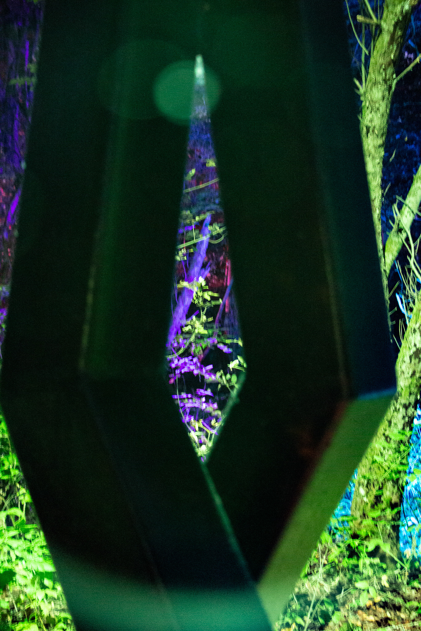 Night Lights at Griffis Sculpture Park, East Otto NY.
