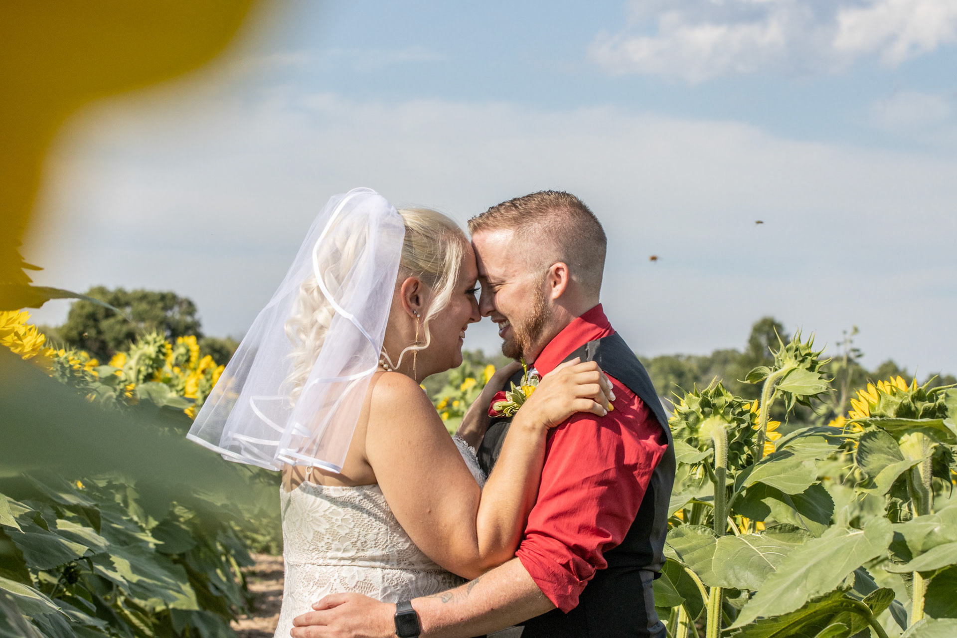 Wedding, Sunflowers of Sanborn, NY, couple.