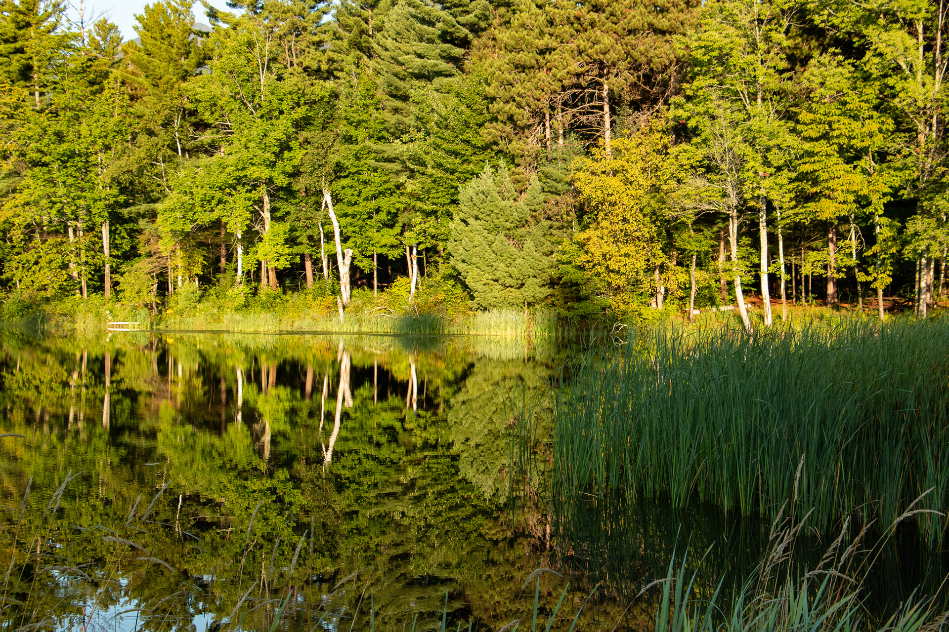 Adirondack Mountains NY.