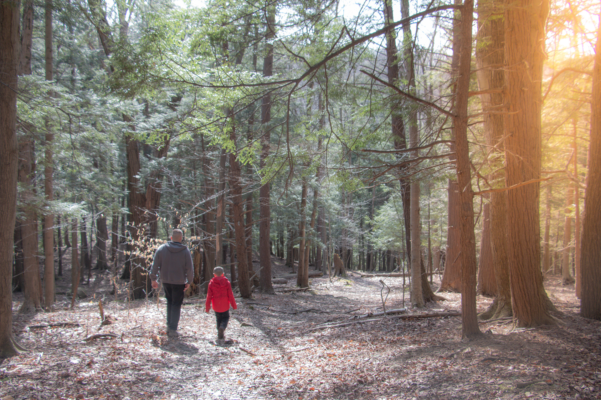 Family photo session, Hunters Creek, East Aurora NY.