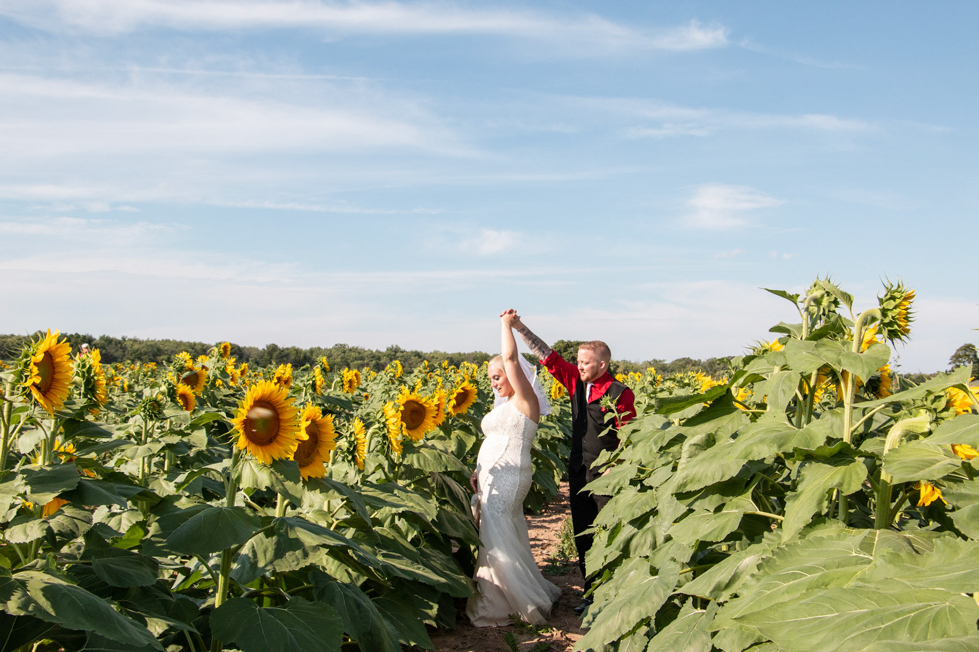 Wedding, Sunflowers of Sanborn, NY.