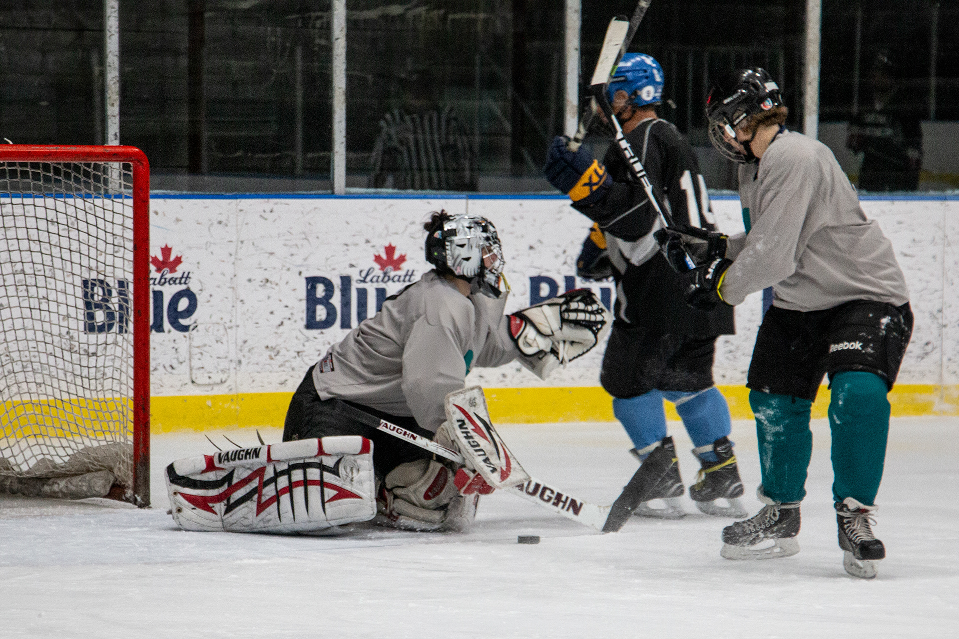 Charity hockey tournament at Riverworks, Buffalo NY.