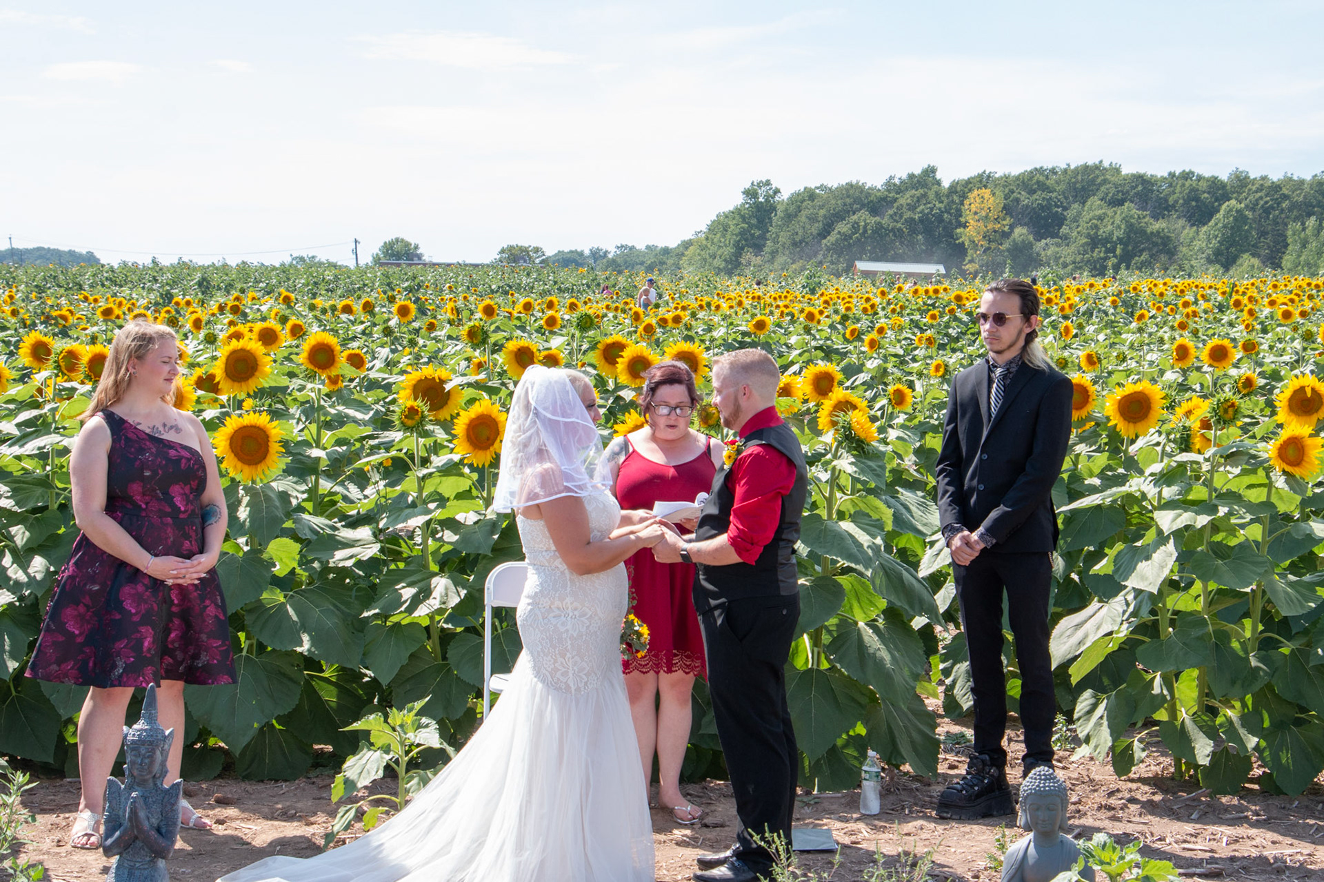 Wedding ceremony, Sunflowers of Sanborn.