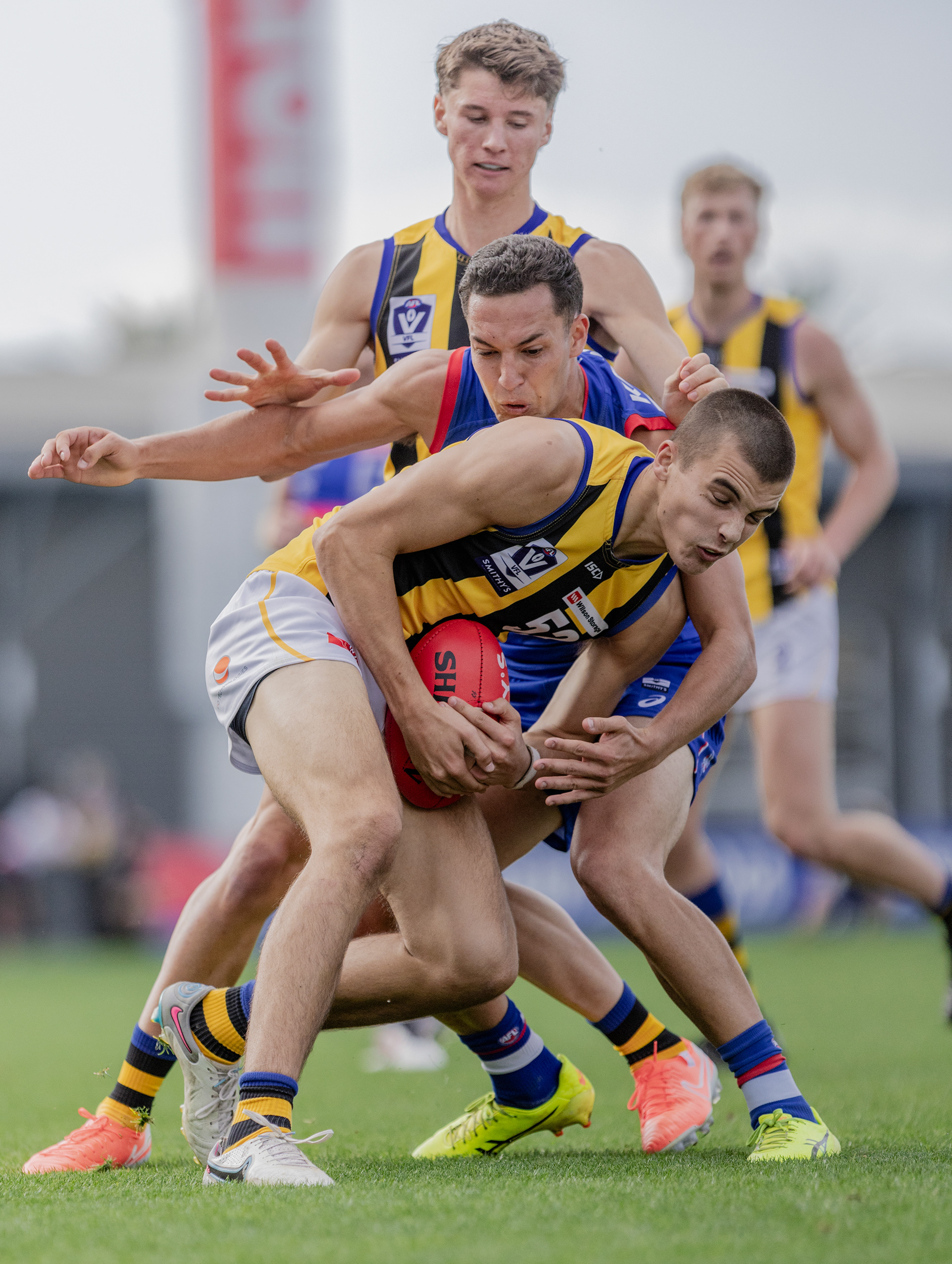 Sandringham VFL