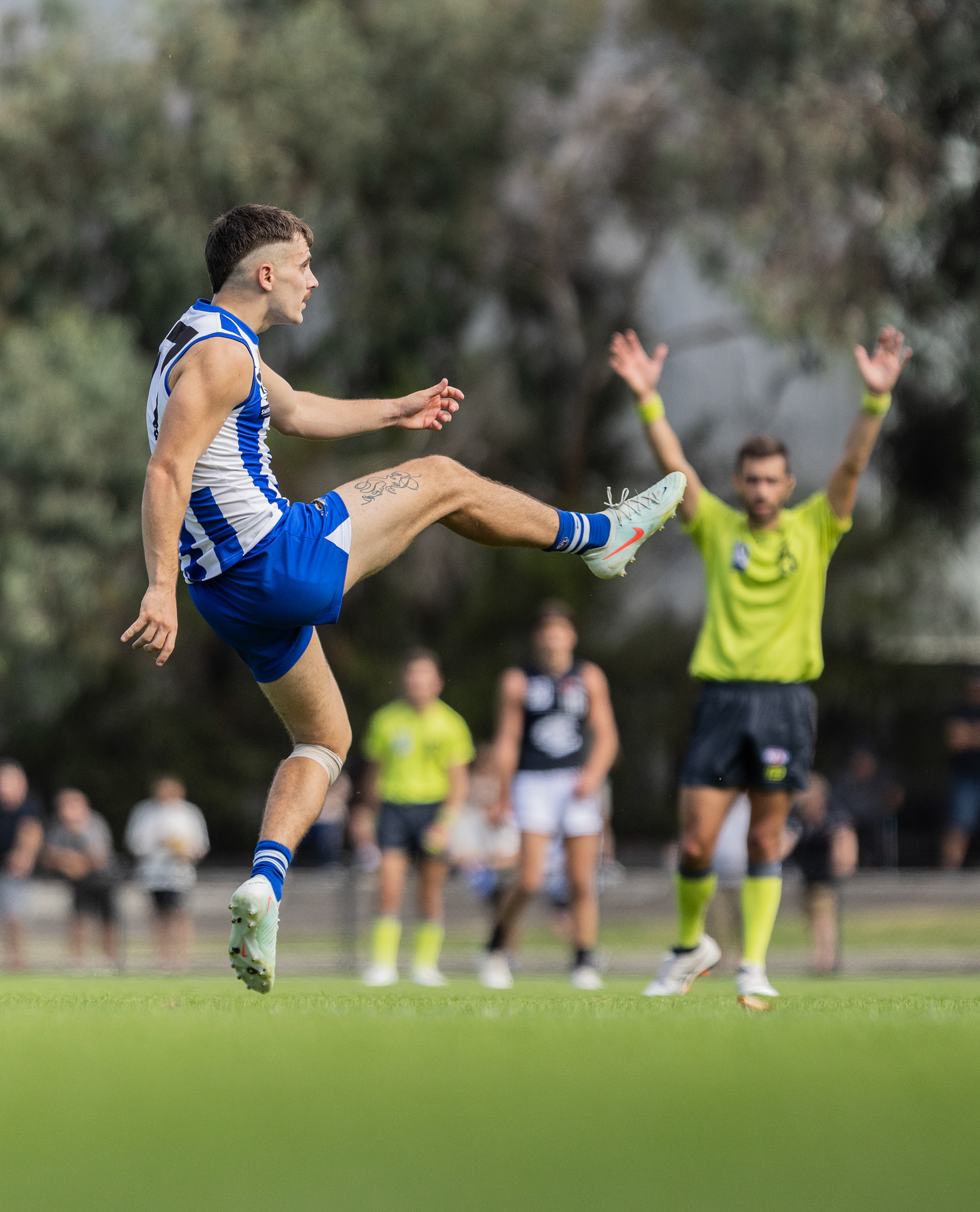 North Melbourne VFL