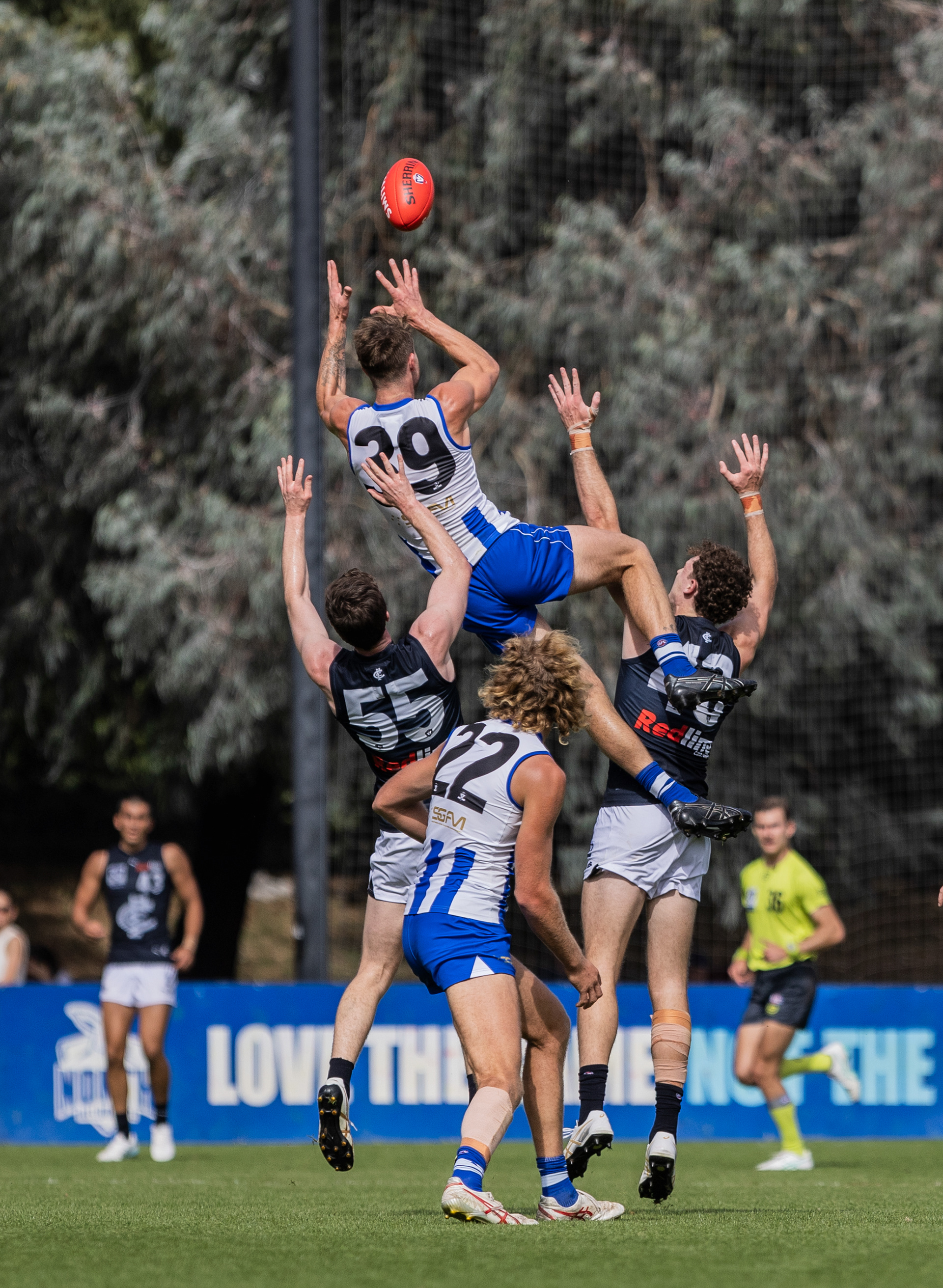 North Melbourne VFL