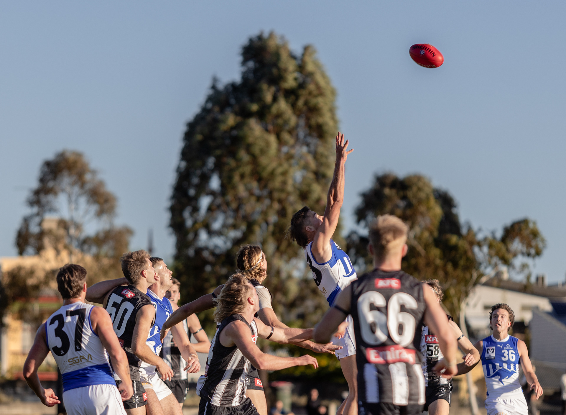 North Melbourne VFL