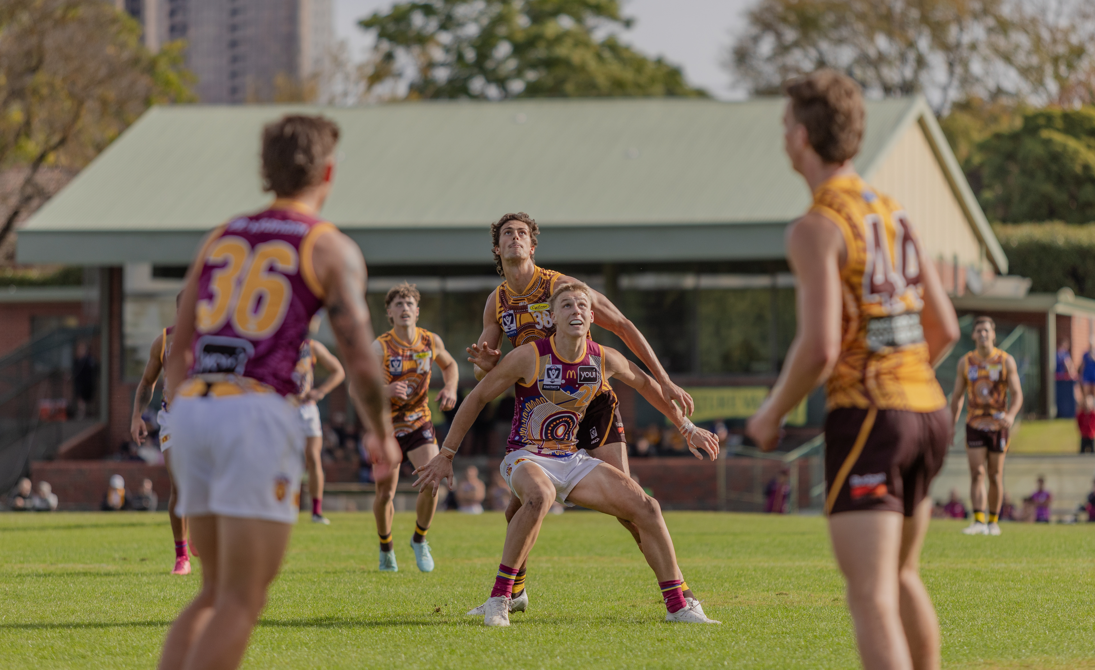 Box Hill VFL