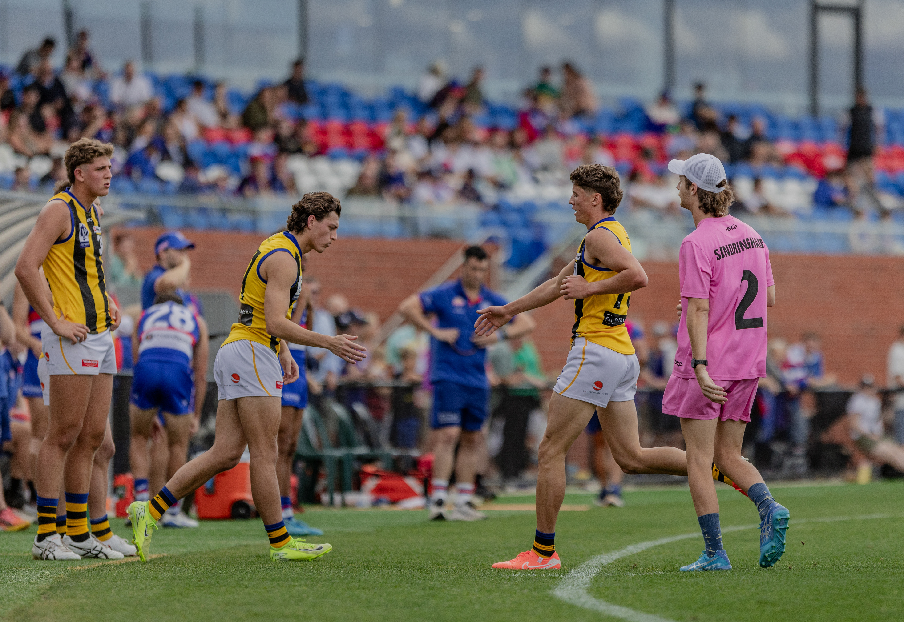 Sandringham VFL