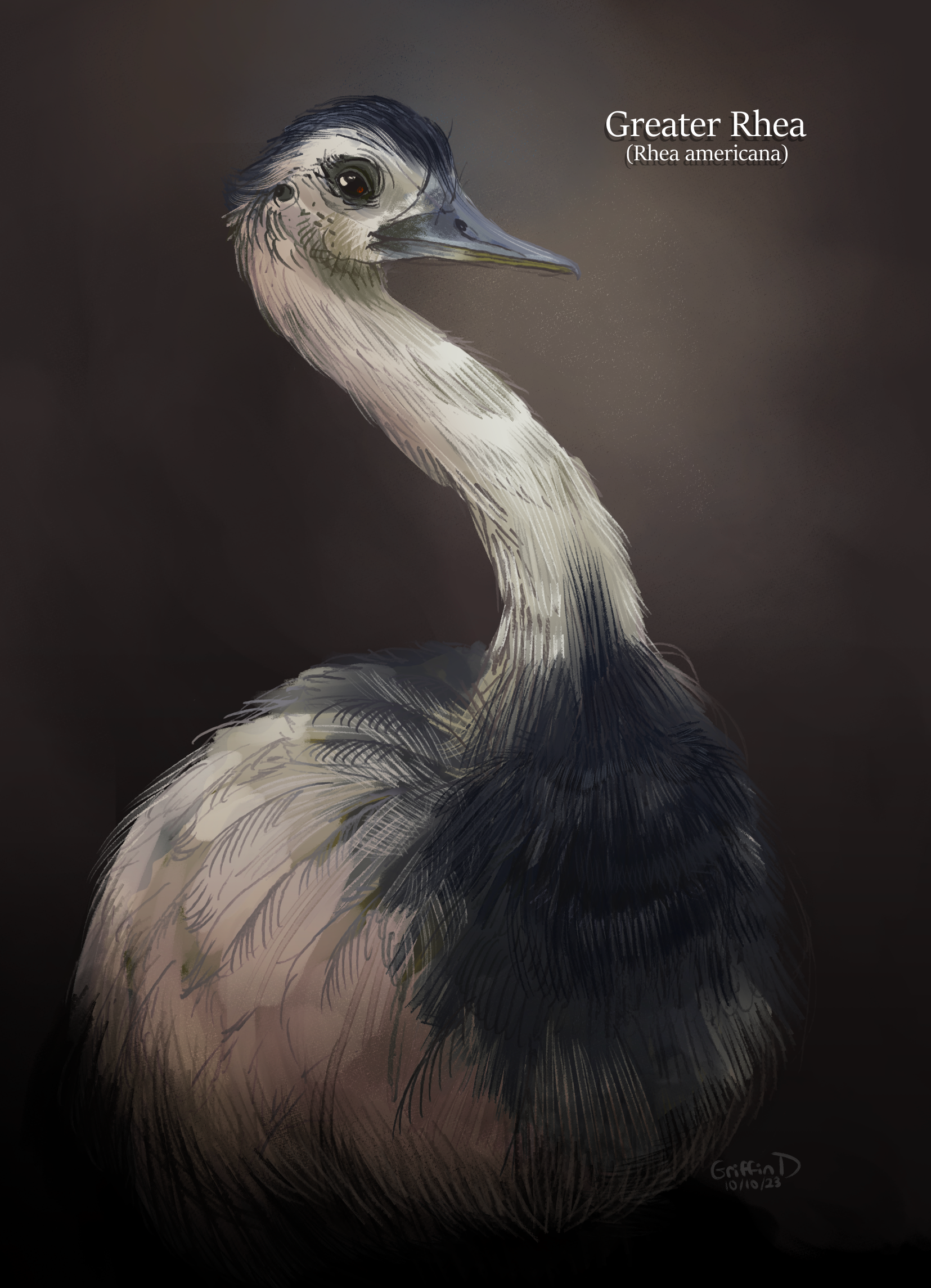Rhea (digitally painted)