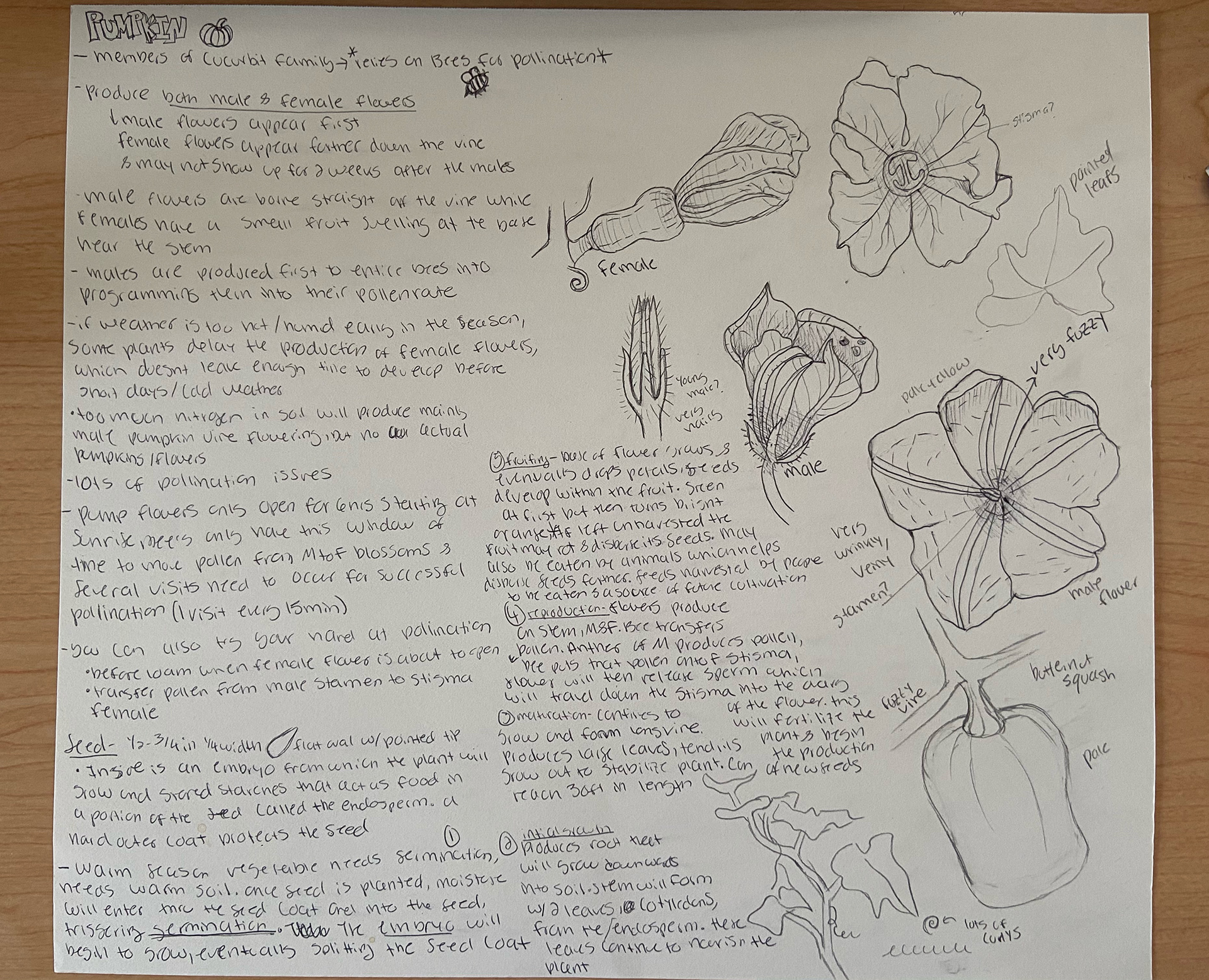 Notes 1