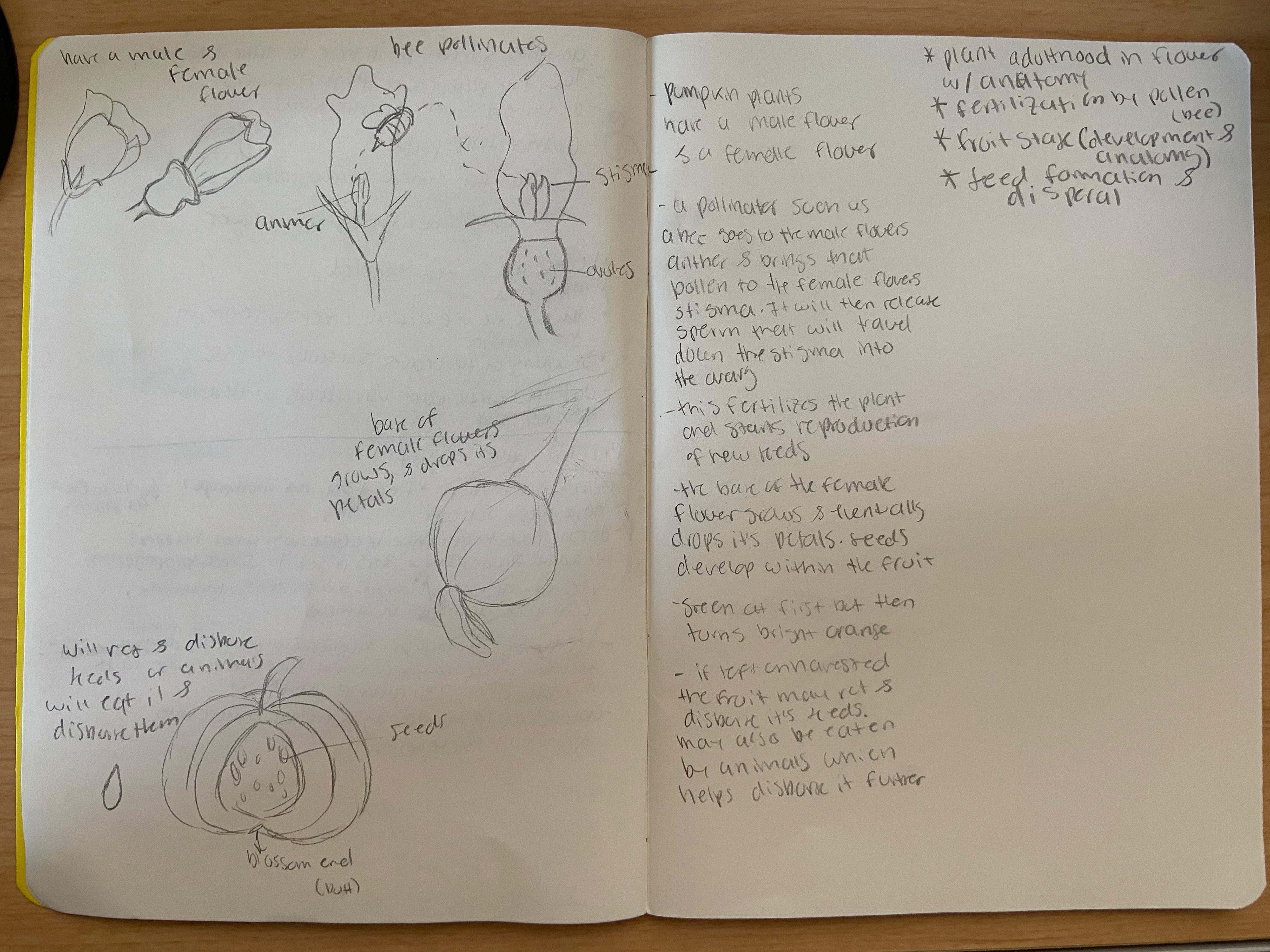 Notes 2