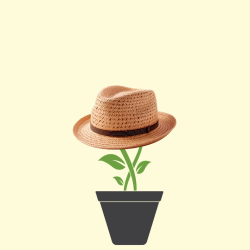 Image of growing plant with a hat placed on top.