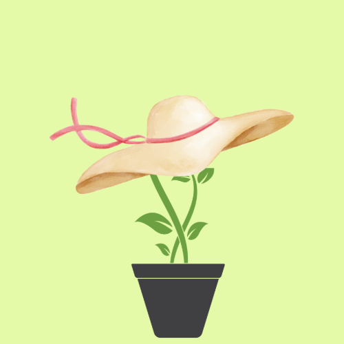 Image of growing plant with a hat placed on top.
