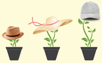 Image of three growing plants in a row, each with a different type of hat placed on top.
