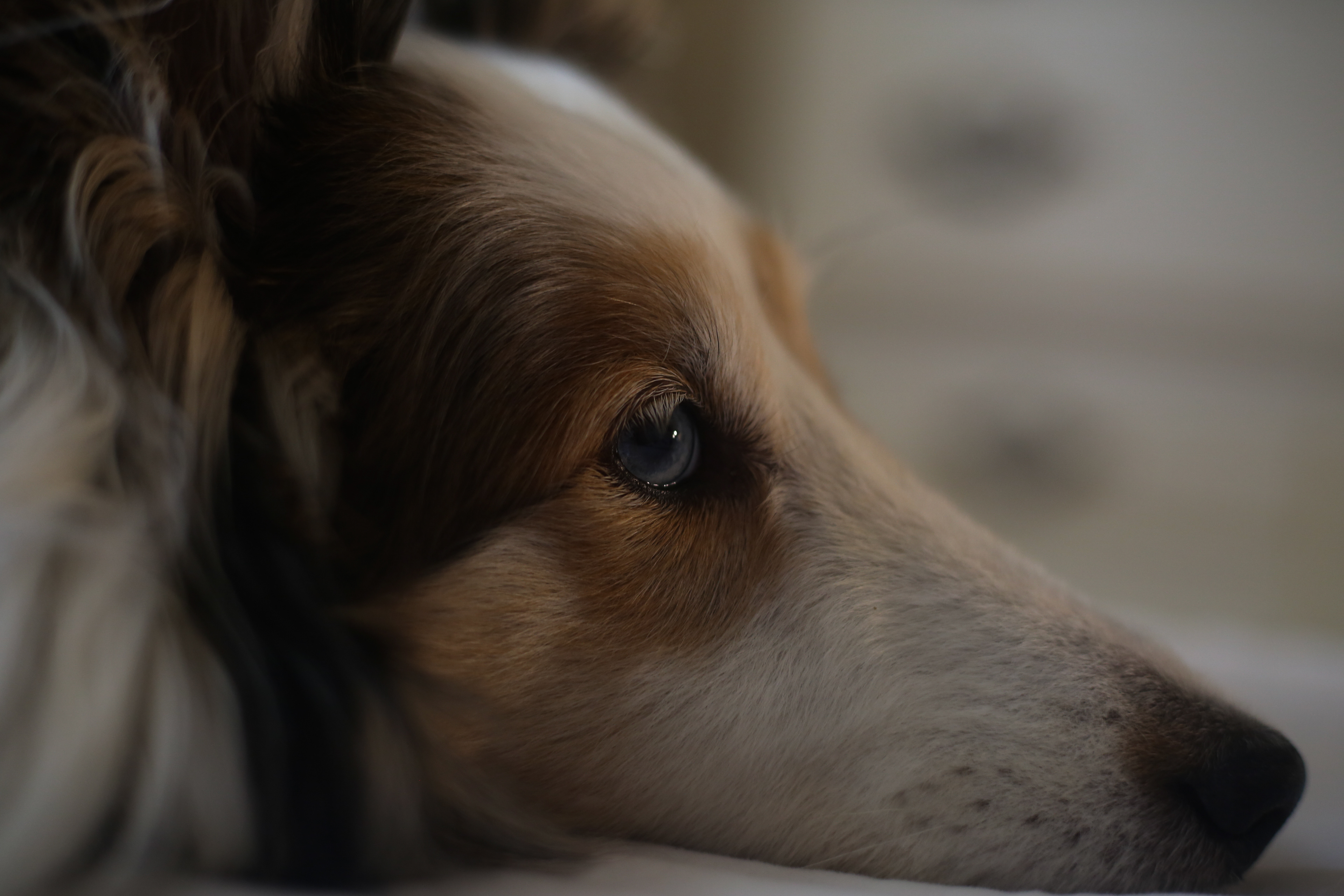 Photo of the Day project 