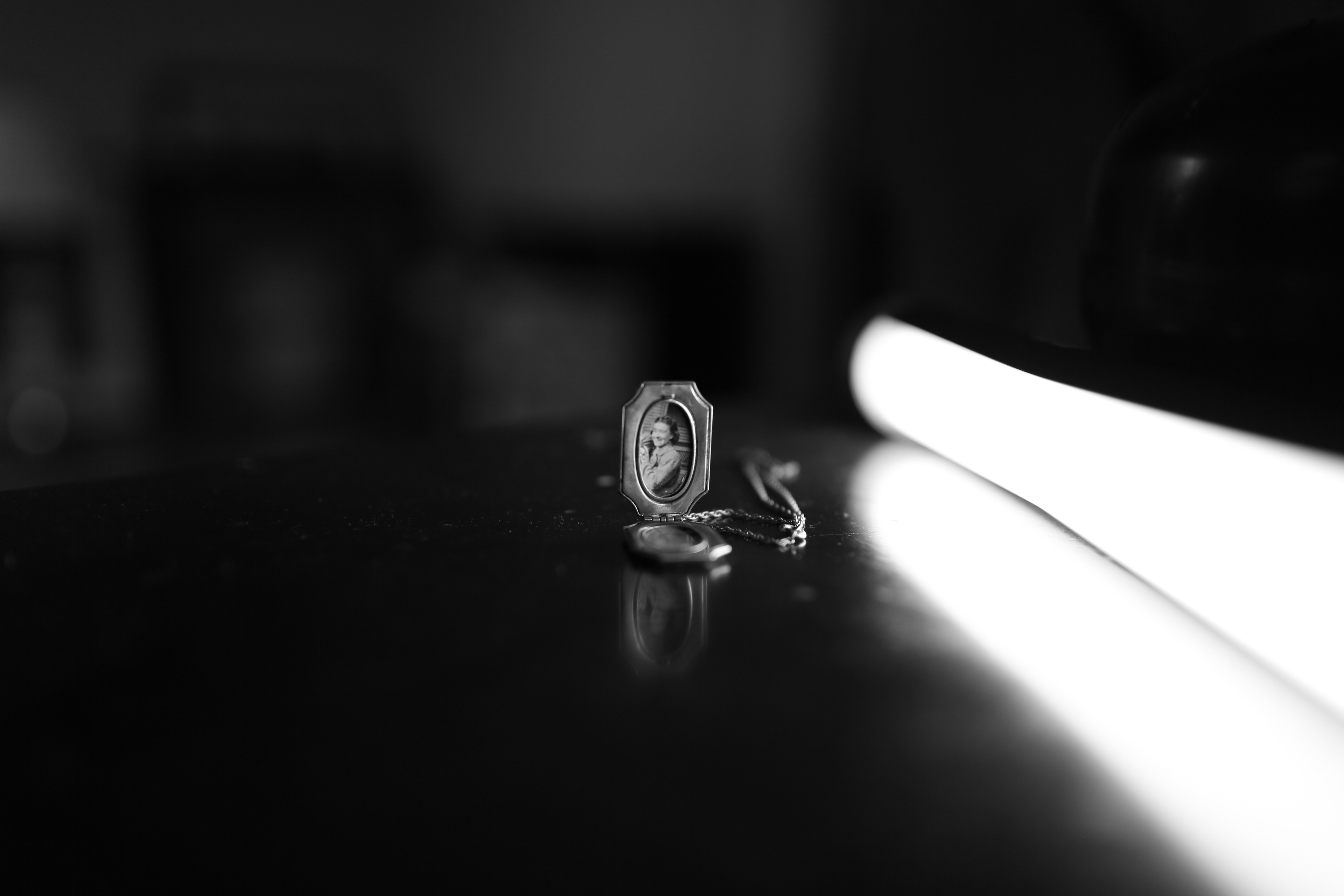 Life is a Beech Project 