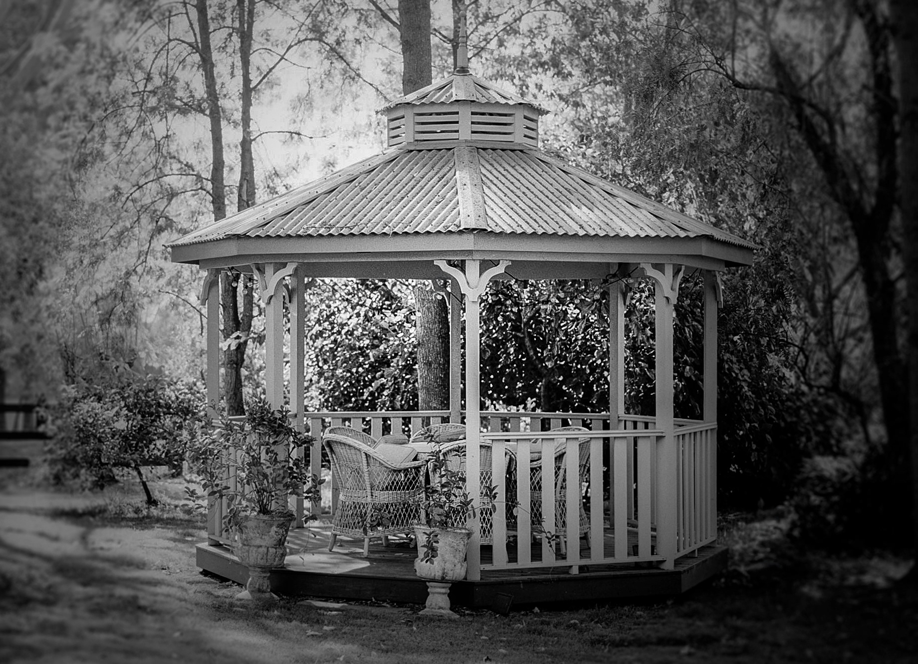 Our beautiful garden gazebo taken with a Fuji 680 medium format camera and developed by a loving hand - mine.