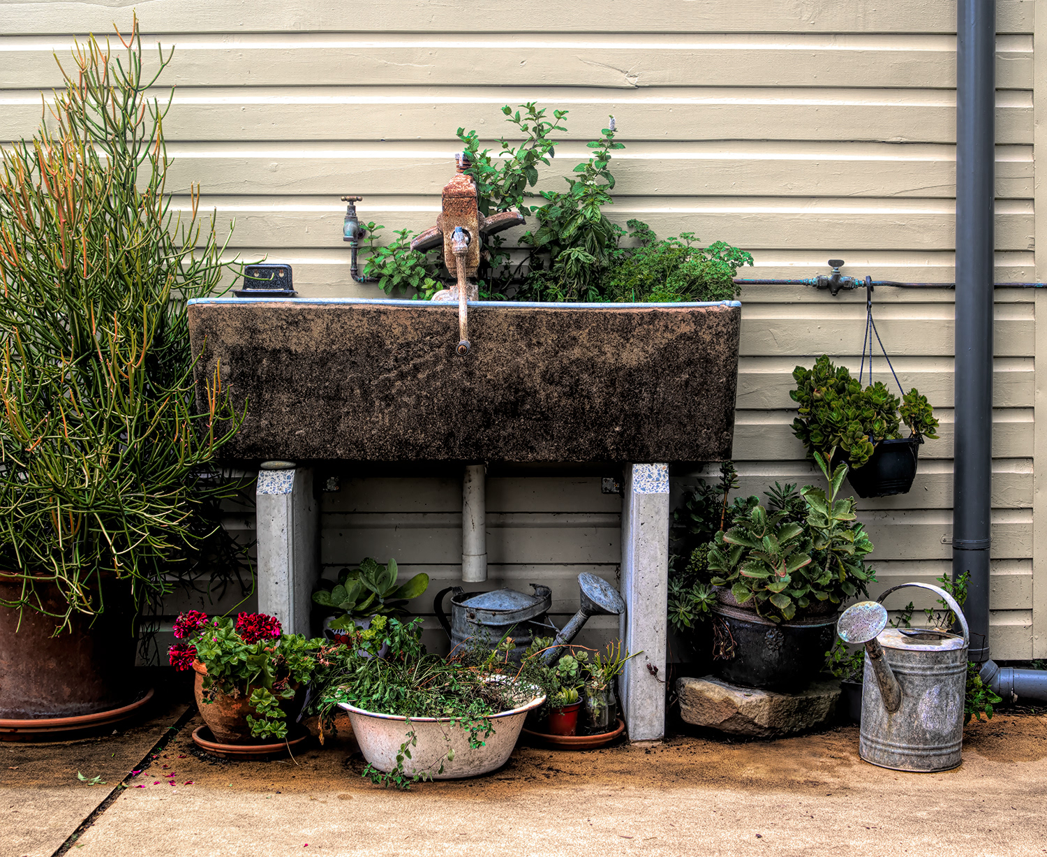 Our herb garden