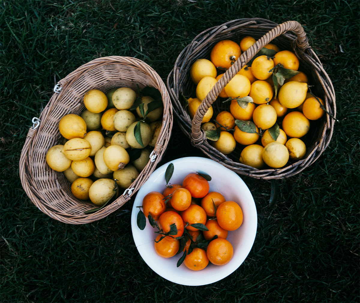 Less than half of this season's harvest. The rest were lost to fruit bats